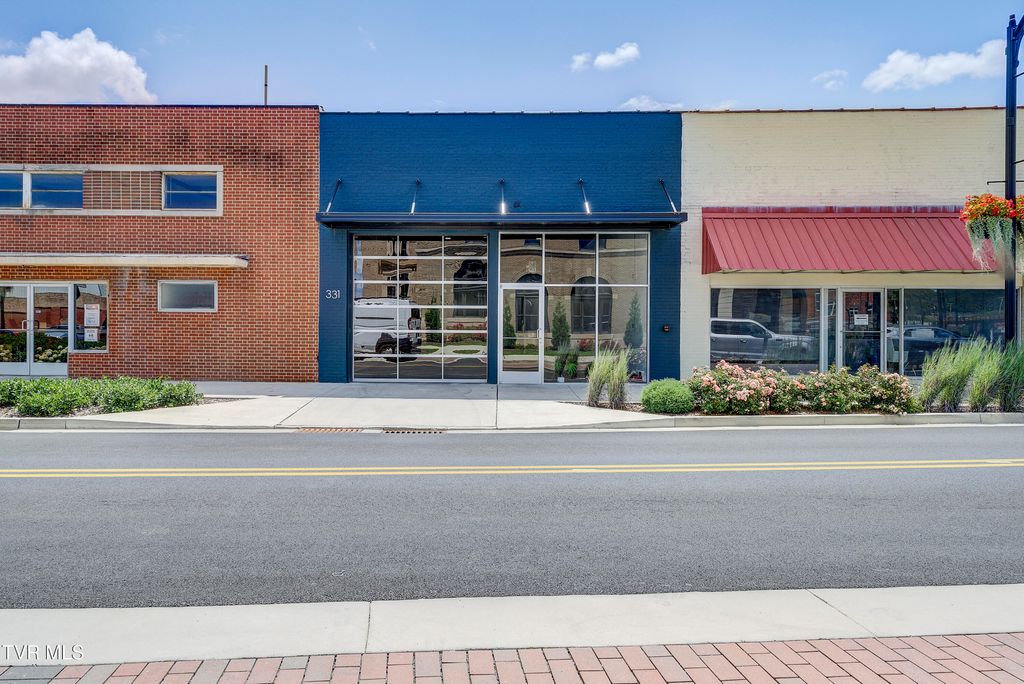 Photo of 331 Walnut Street, Johnson City, TN 37604 (MLS # 9984276)