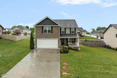 Photo of 745 Ashley Meadows, Jonesborough, TN 37659 (MLS # 9995115)