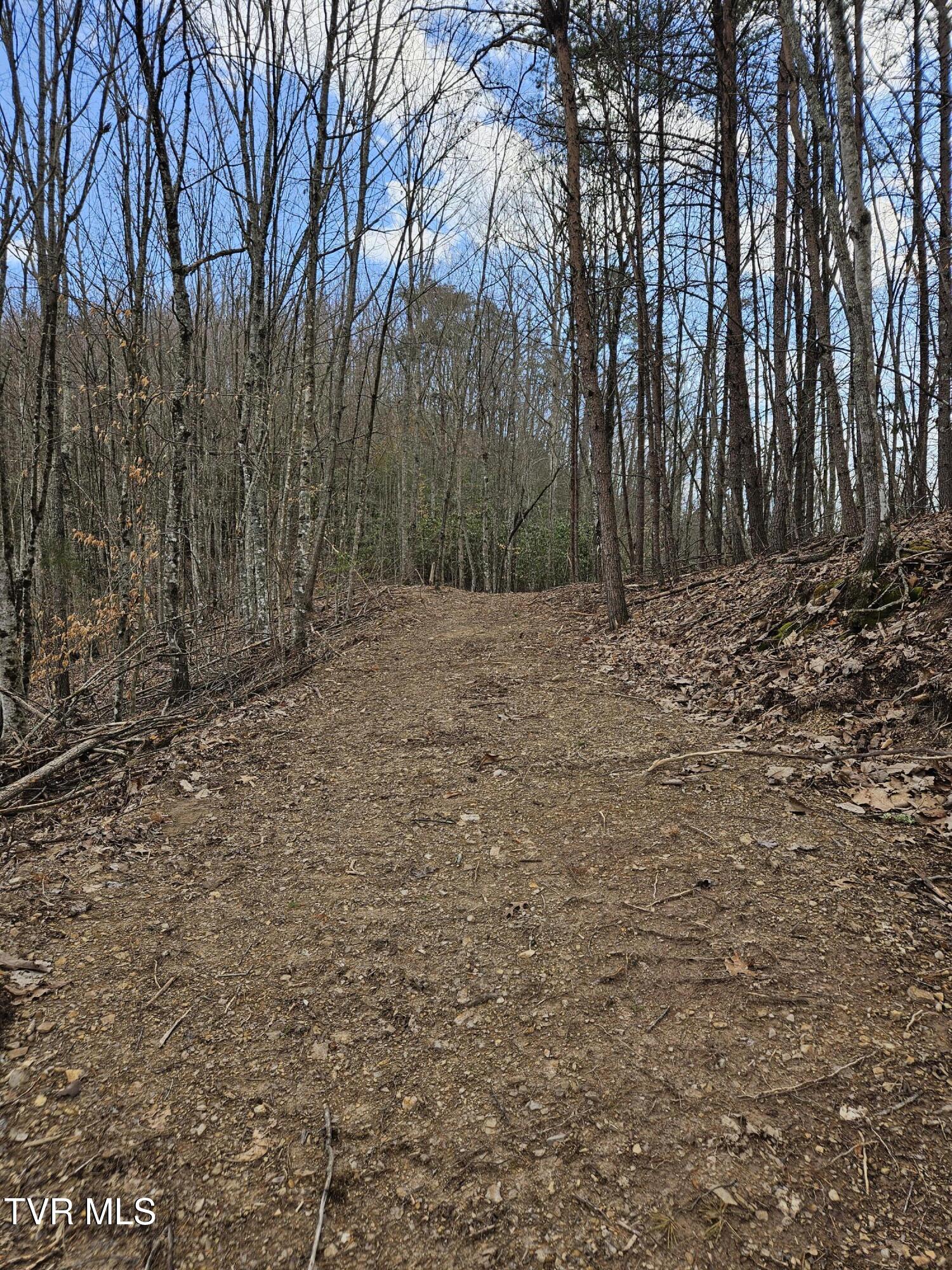 Tbd Right Poor Valley Road, Dryden, Virginia image 12