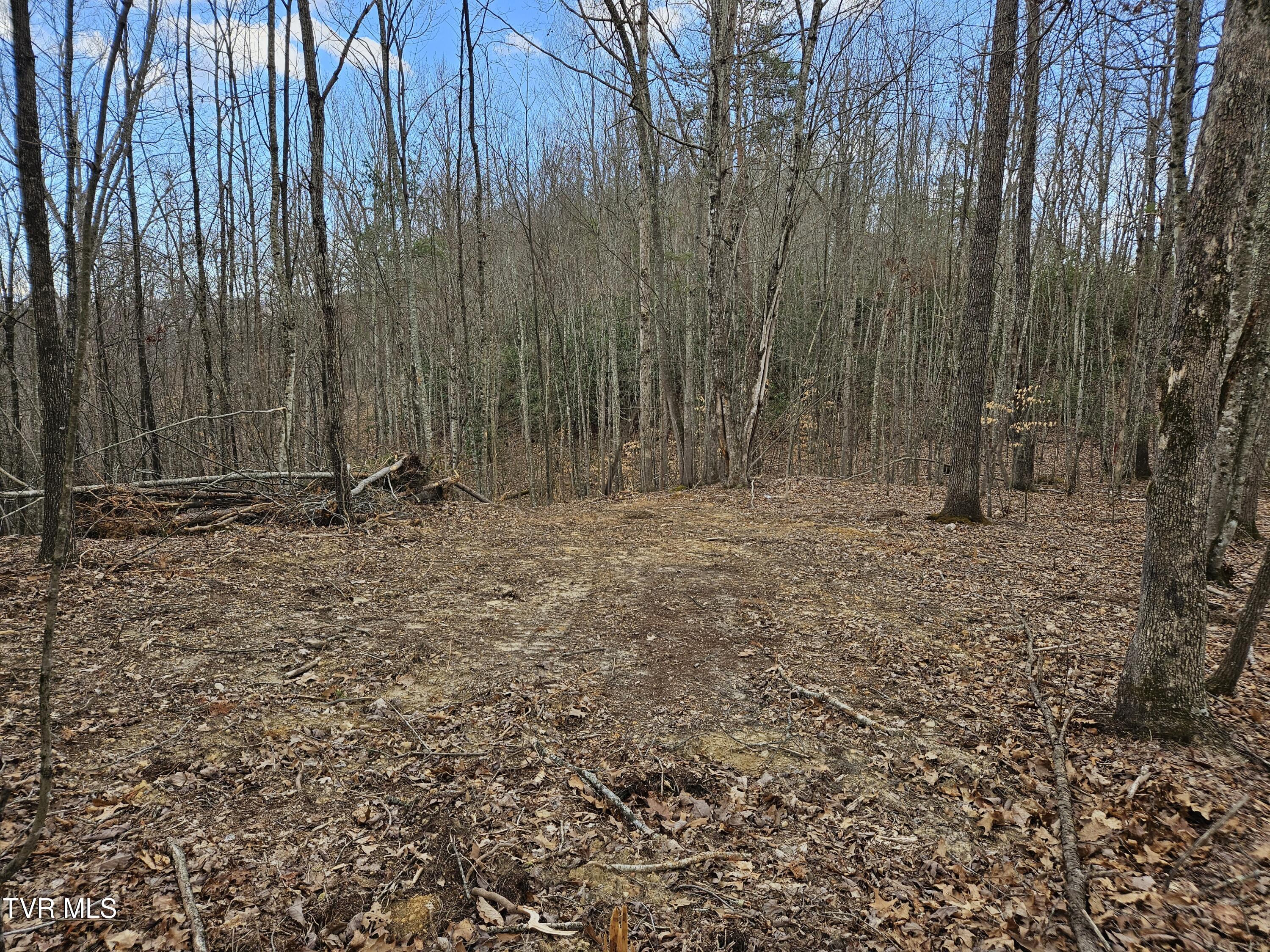Tbd Right Poor Valley Road, Dryden, Virginia image 17