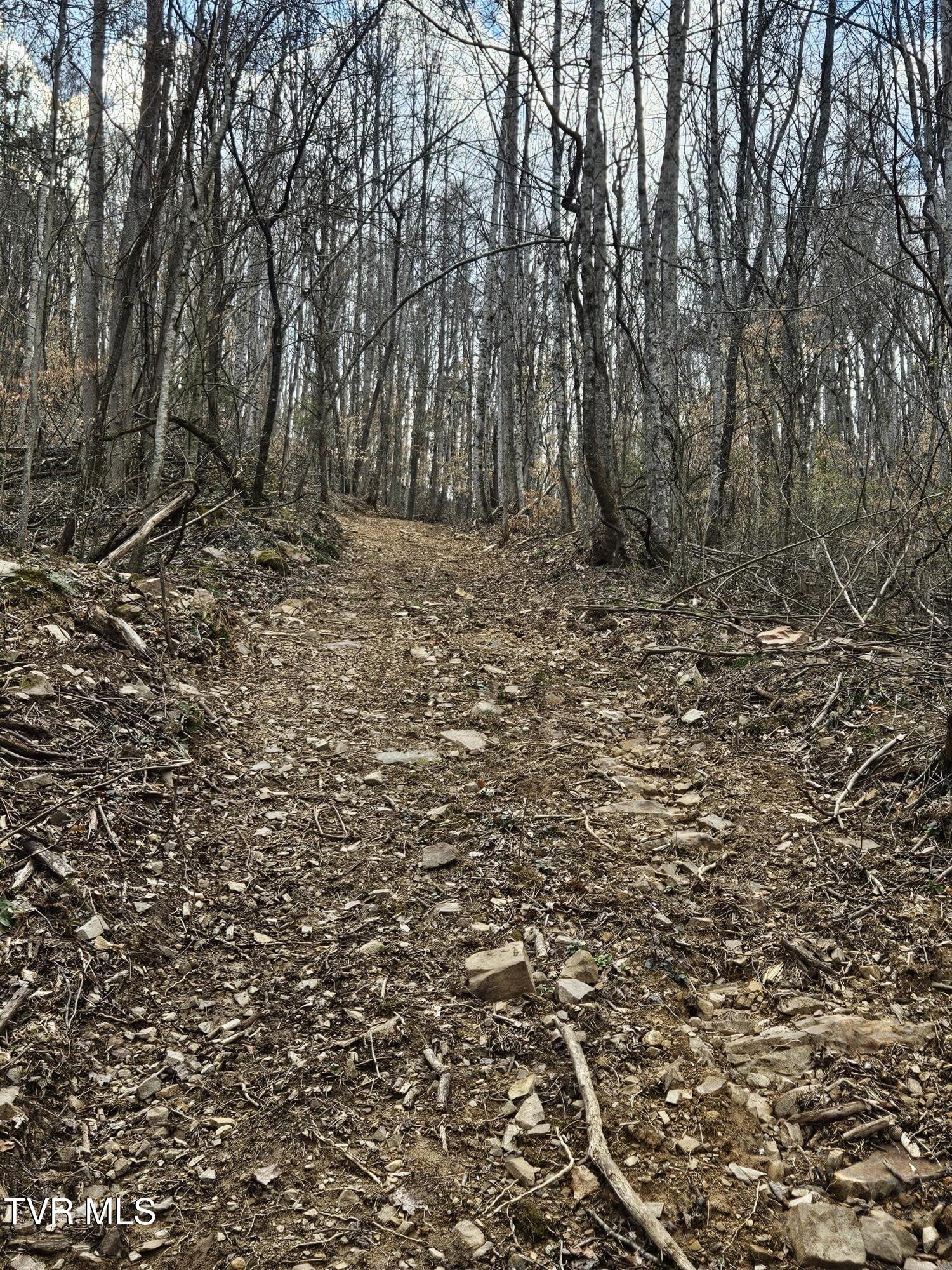 Tbd Right Poor Valley Road, Dryden, Virginia image 7