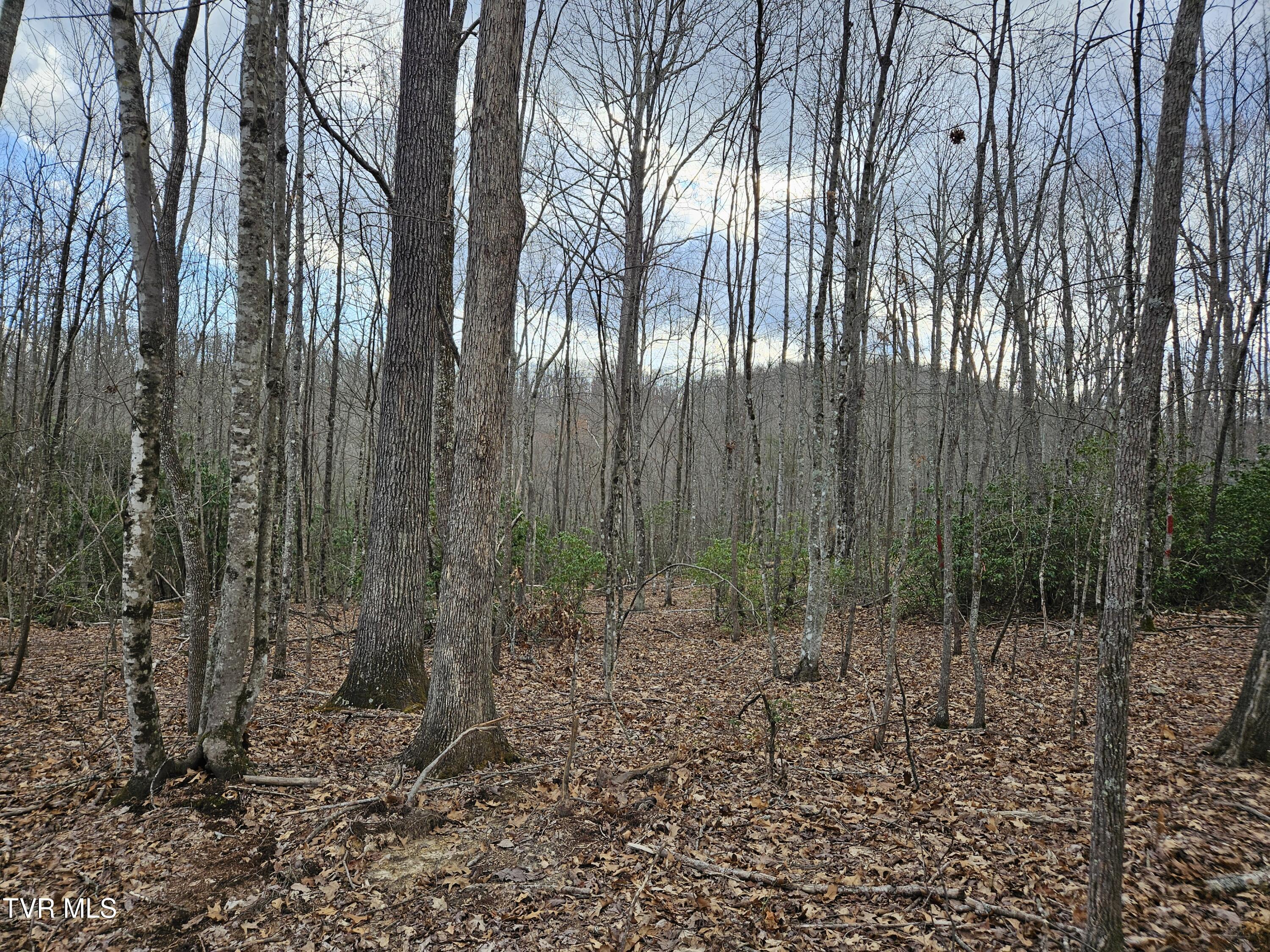Tbd Right Poor Valley Road, Dryden, Virginia image 19