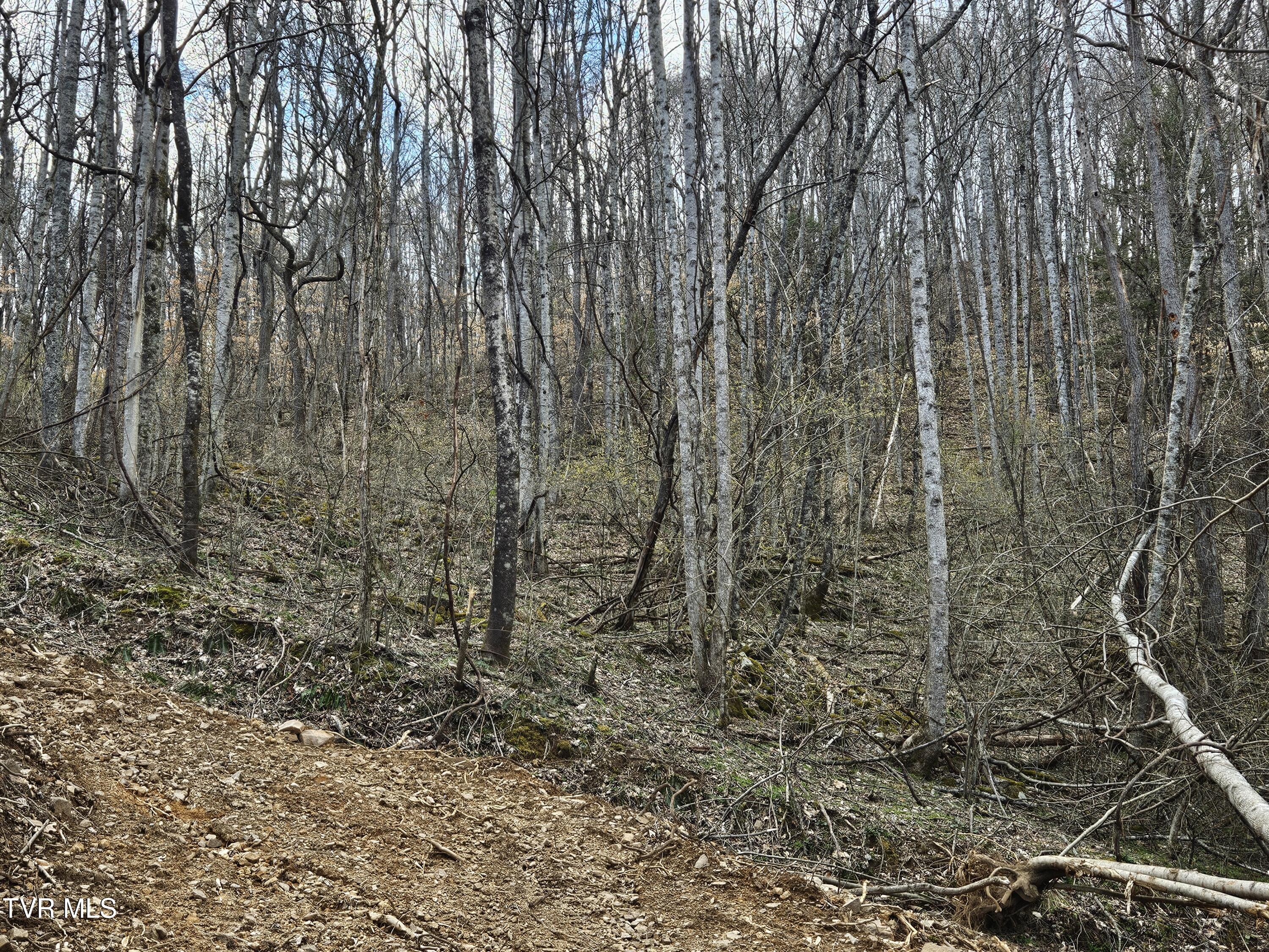 Tbd Right Poor Valley Road, Dryden, Virginia image 6