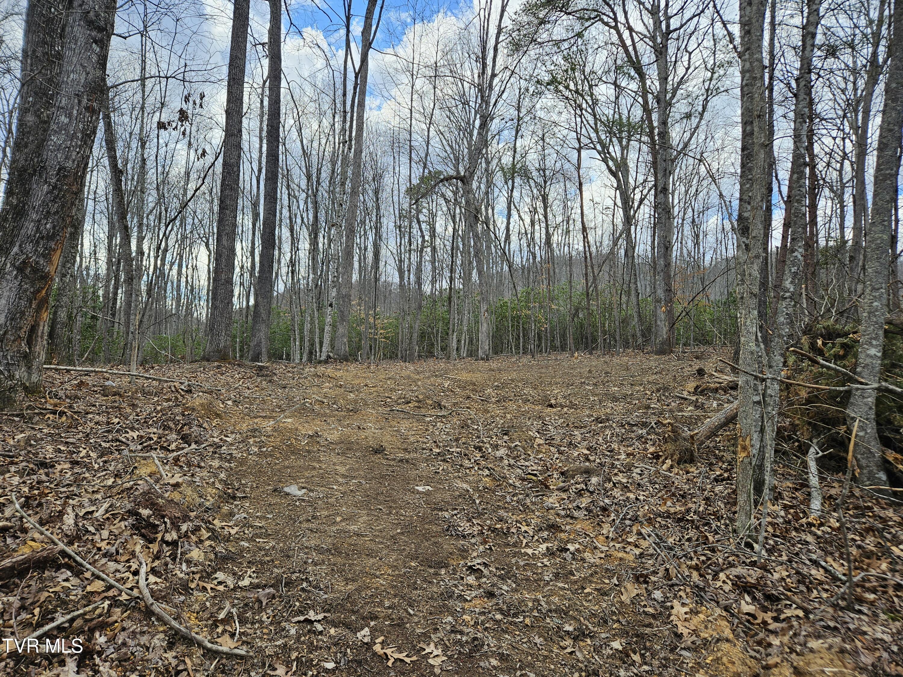 Tbd Right Poor Valley Road, Dryden, Virginia image 15