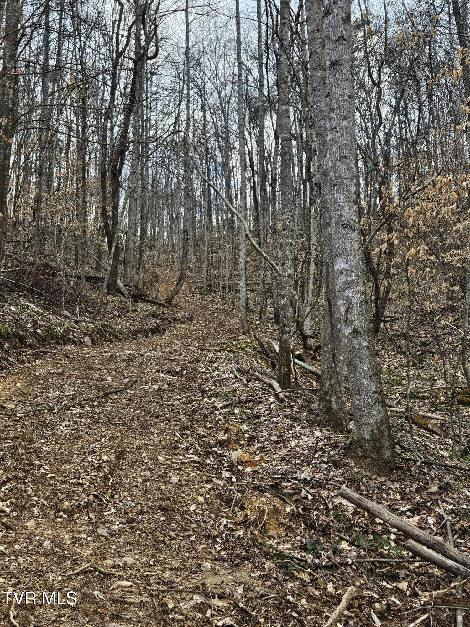 Tbd Right Poor Valley Road, Dryden, Virginia image 8