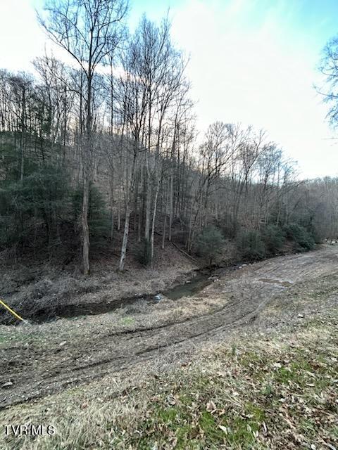 Tbd Right Poor Valley Road, Dryden, Virginia image 23