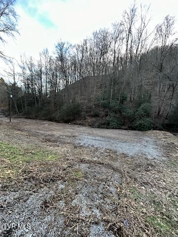 Tbd Right Poor Valley Road, Dryden, Virginia image 25