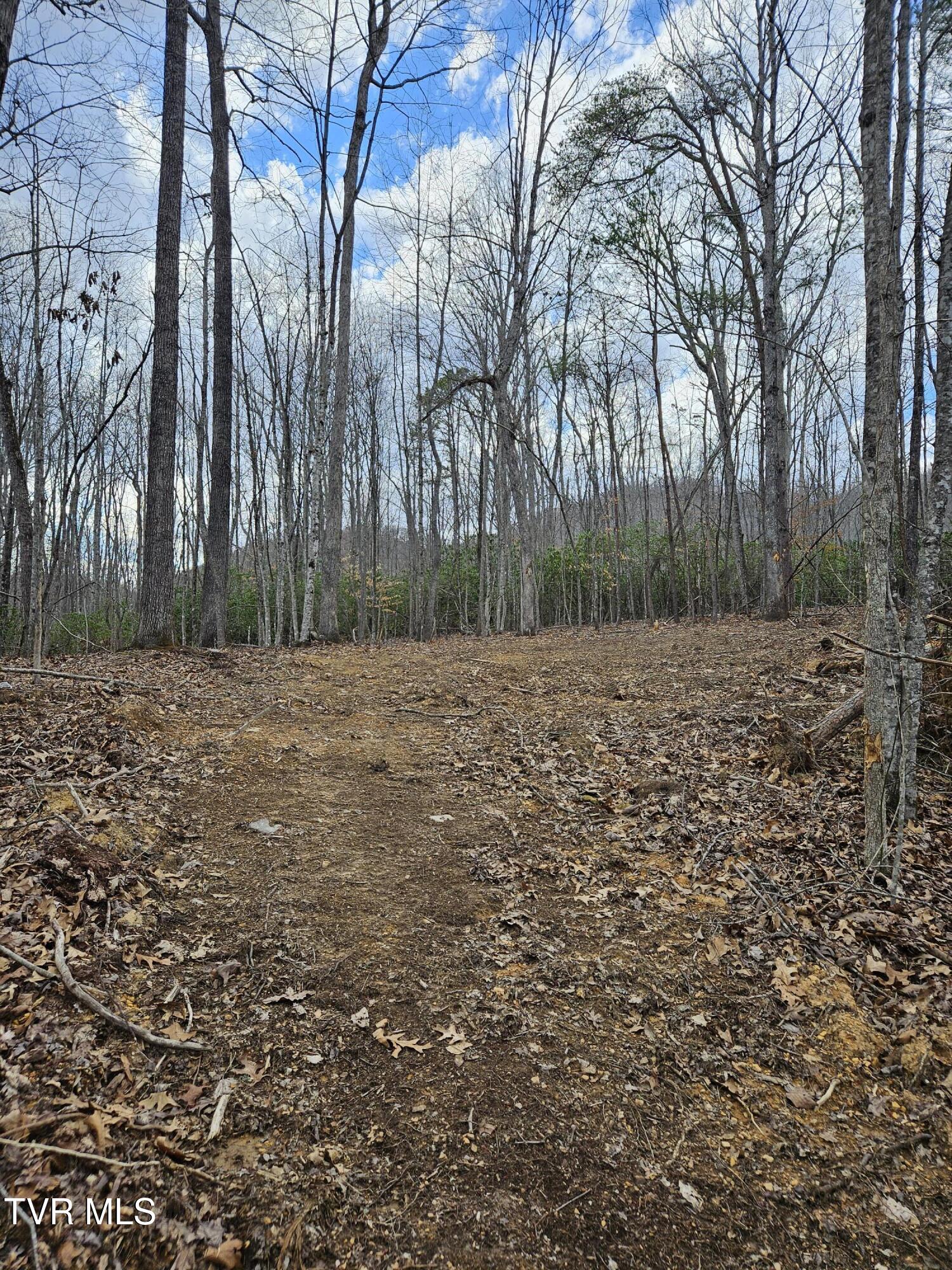 Tbd Right Poor Valley Road, Dryden, Virginia image 16