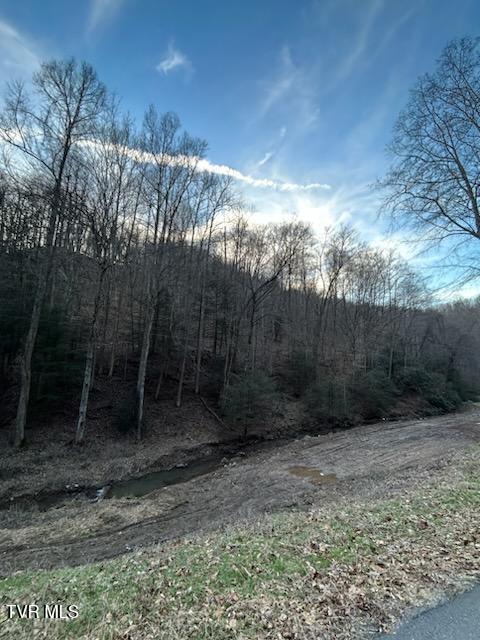 Tbd Right Poor Valley Road, Dryden, Virginia image 22