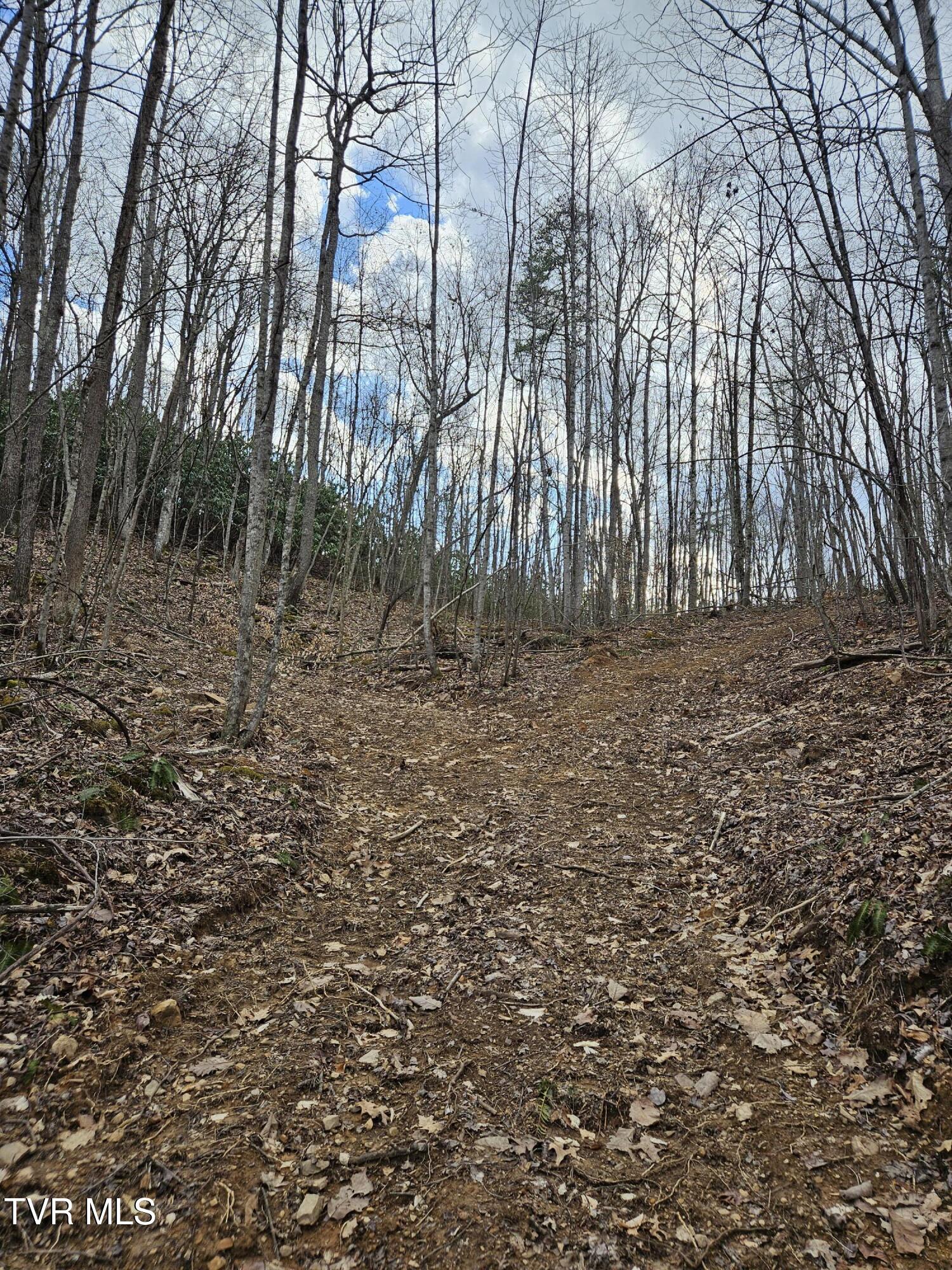 Tbd Right Poor Valley Road, Dryden, Virginia image 9
