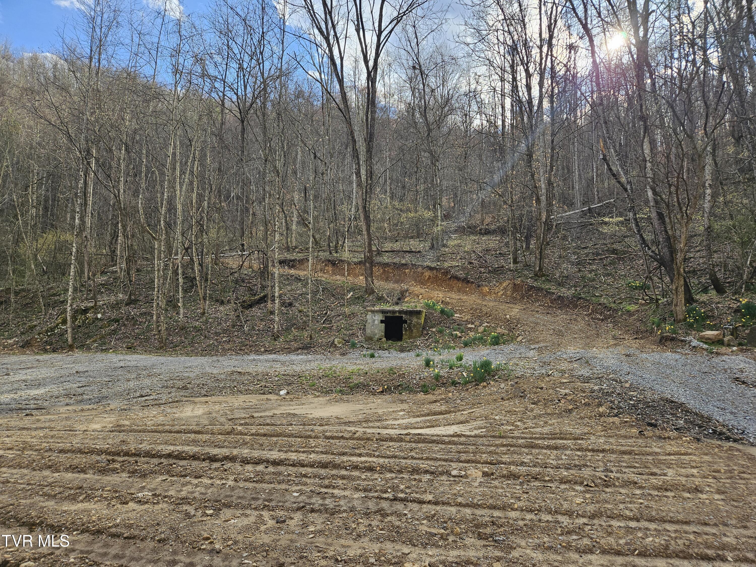 Tbd Right Poor Valley Road, Dryden, Virginia image 3