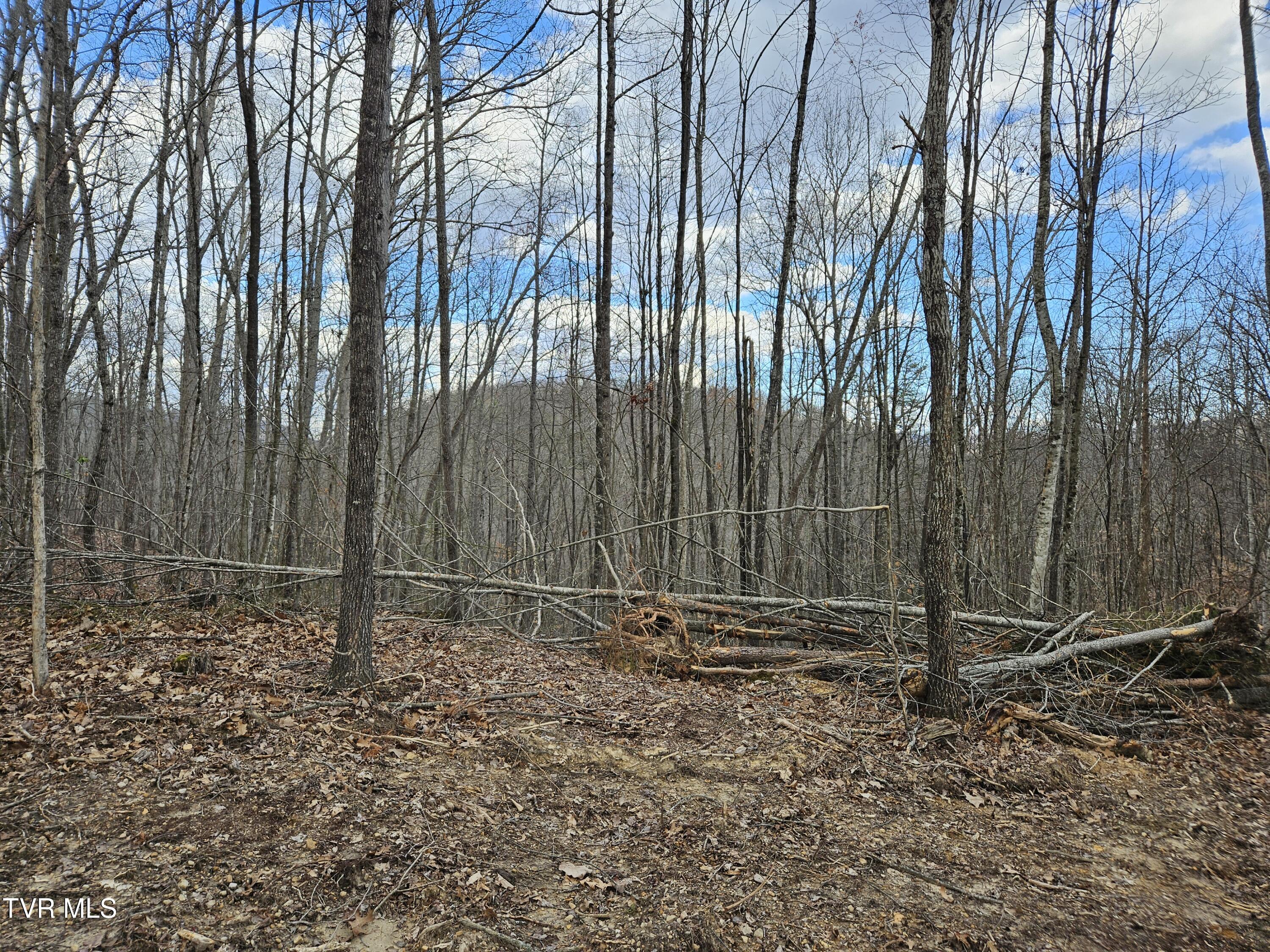 Tbd Right Poor Valley Road, Dryden, Virginia image 18