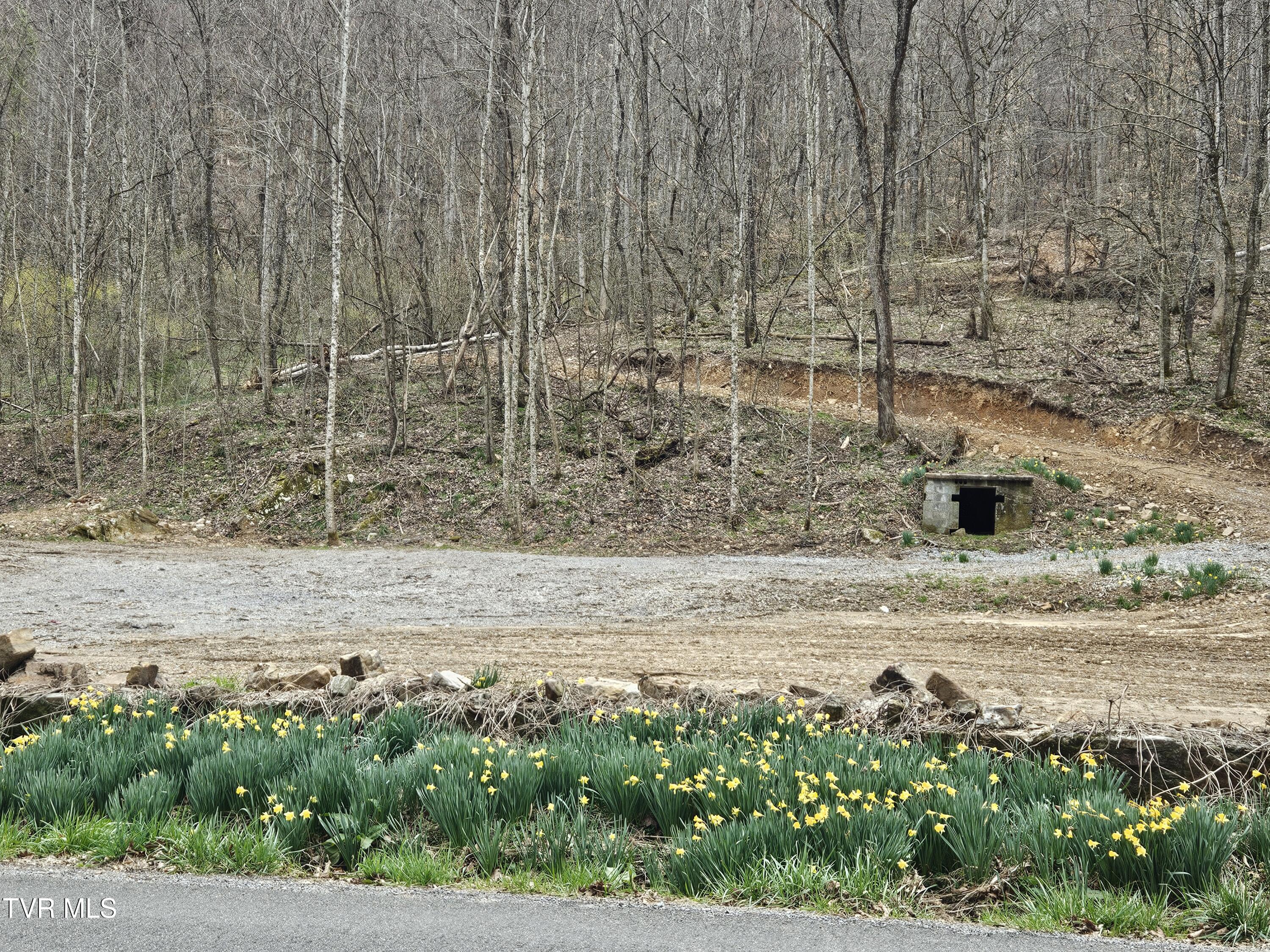 Tbd Right Poor Valley Road, Dryden, Virginia image 21