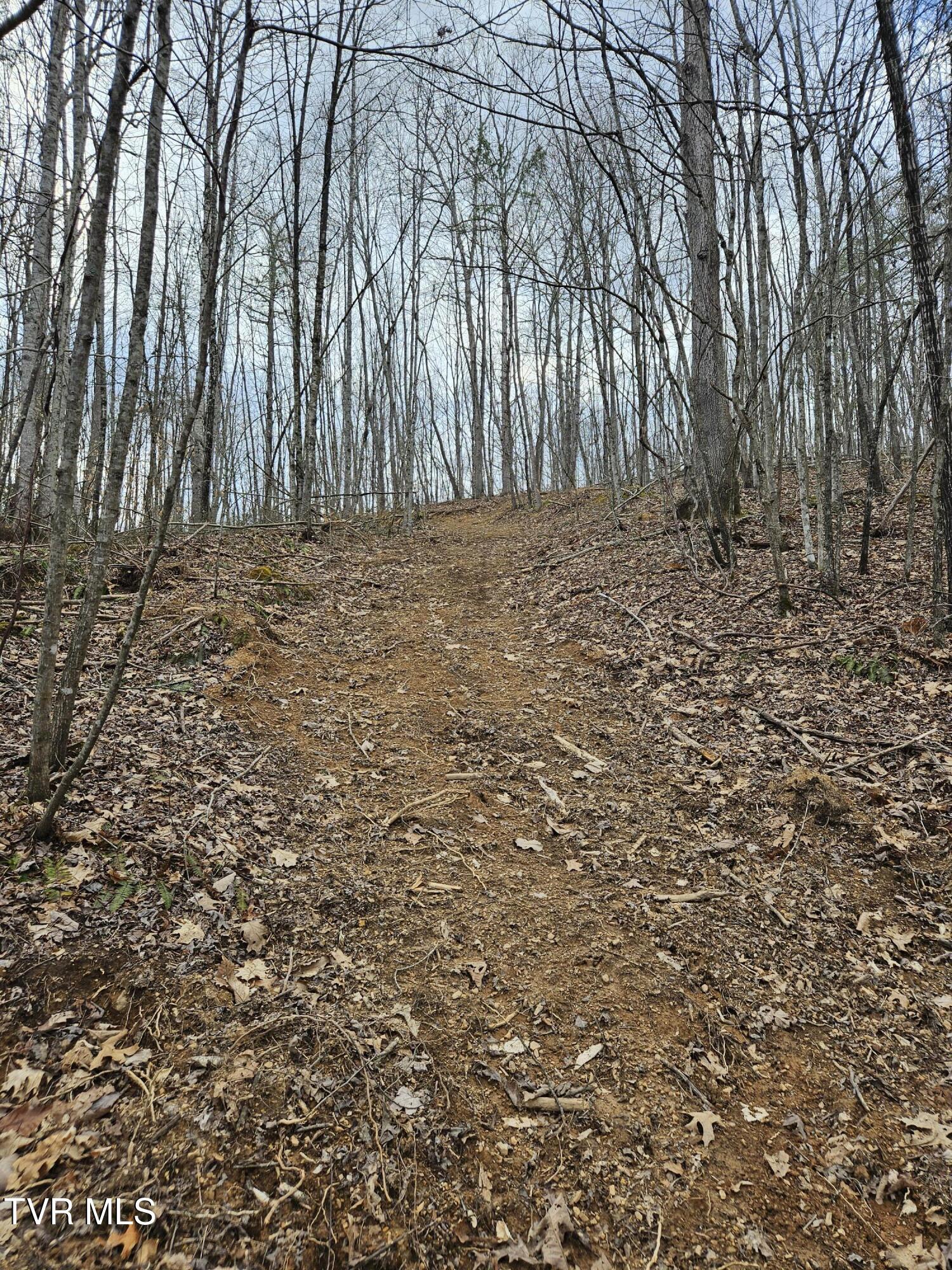Tbd Right Poor Valley Road, Dryden, Virginia image 11