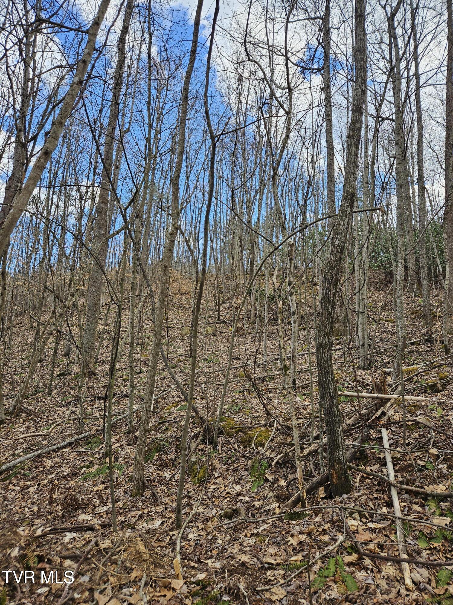 Tbd Right Poor Valley Road, Dryden, Virginia image 10