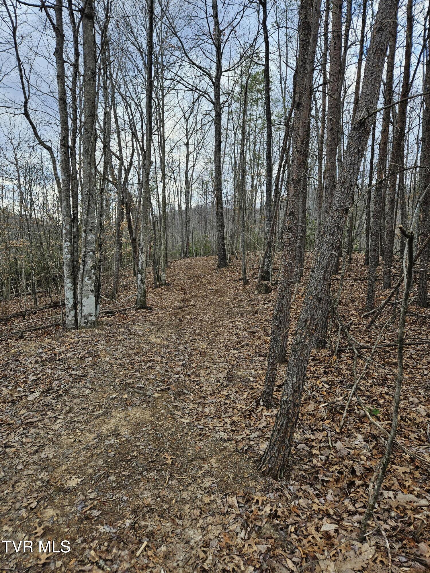 Tbd Right Poor Valley Road, Dryden, Virginia image 13