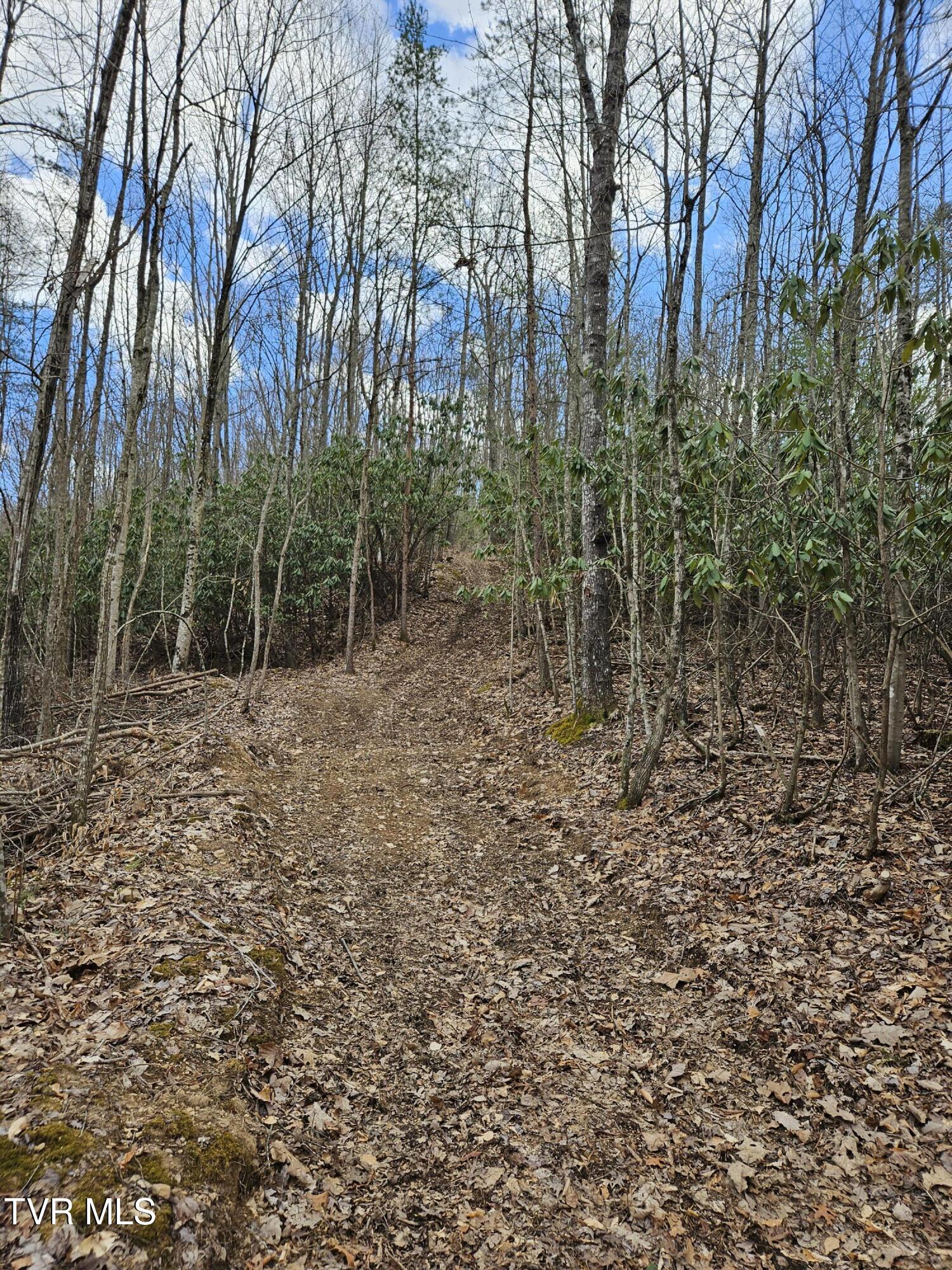 Tbd Right Poor Valley Road, Dryden, Virginia image 14