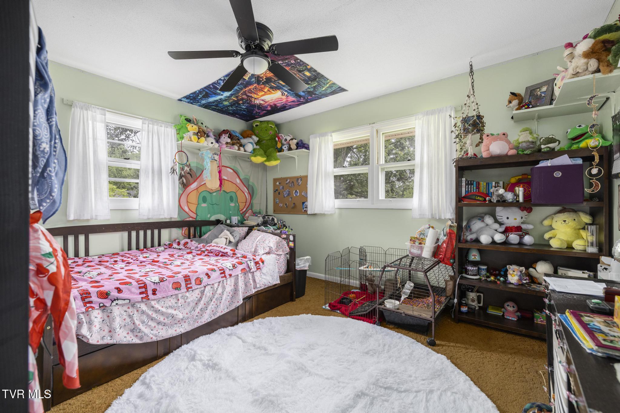 1201 Beechwood Drive, Johnson City, Tennessee image 25