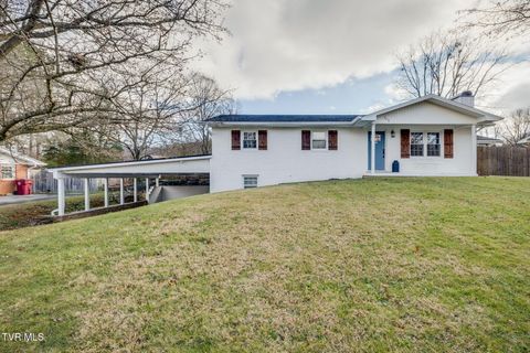Photo of 702 Crowell Lane, Johnson City, TN 37601 (MLS # 9988993)
