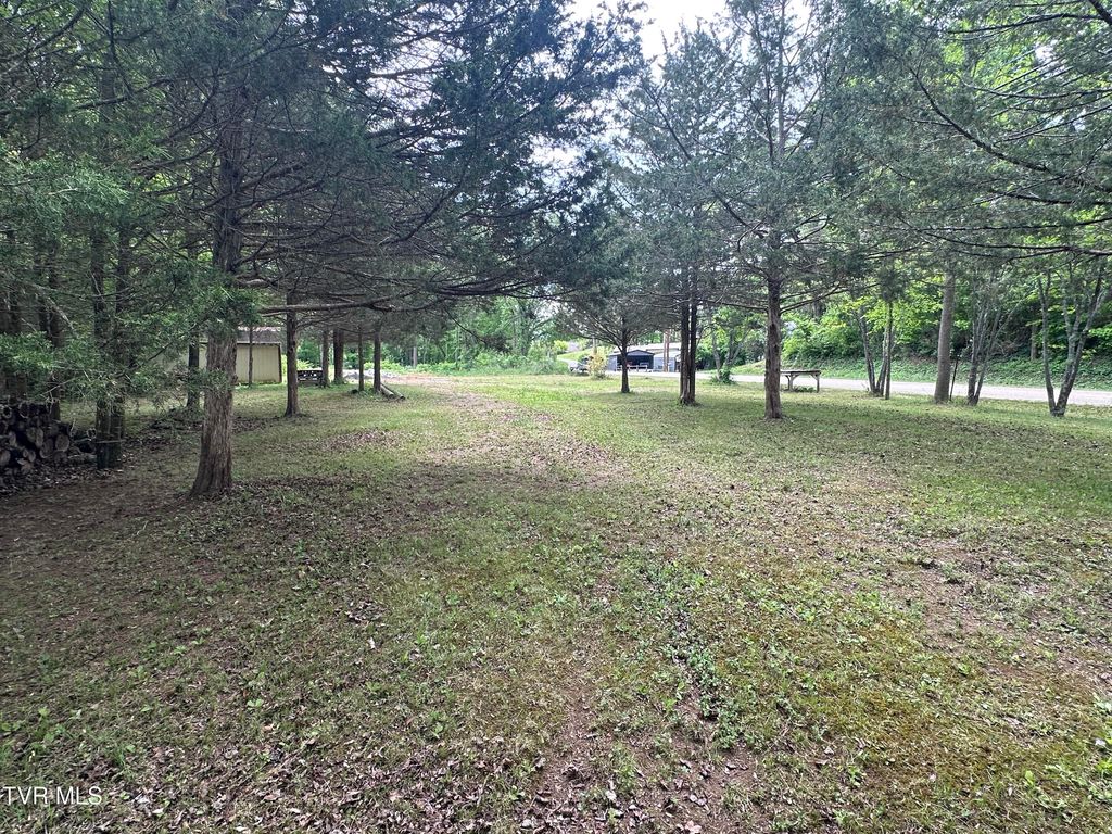 Photo of S Roan St Roan Street, Johnson City, TN 37601 (MLS # 9994712)