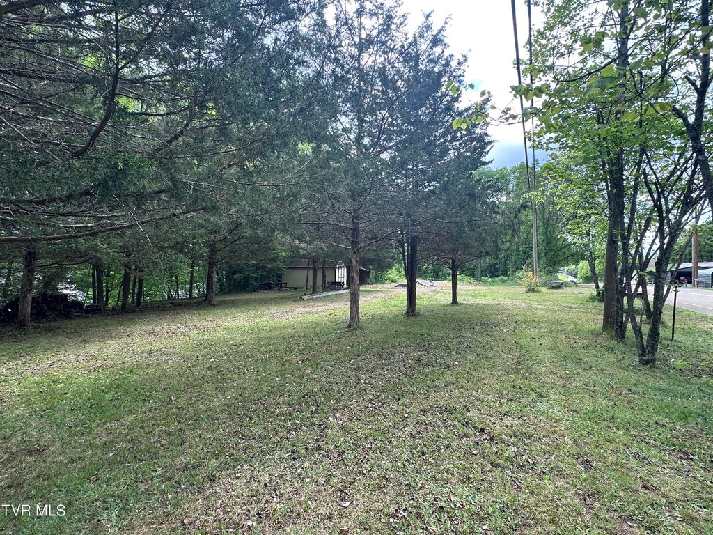 Photo of S Roan St Roan Street, Johnson City, TN 37601 (MLS # 9994712)