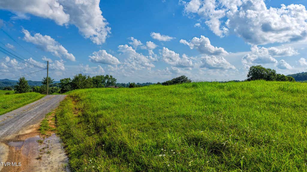 Photo of Tbd Walnut Ridge Way, Rogersville, TN 37857 (MLS # 9998565)