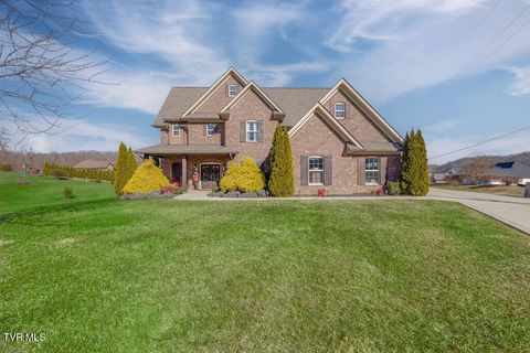 Photo of 1024 Little Shadden Way, Gray, TN 37615 (MLS # 9989524)