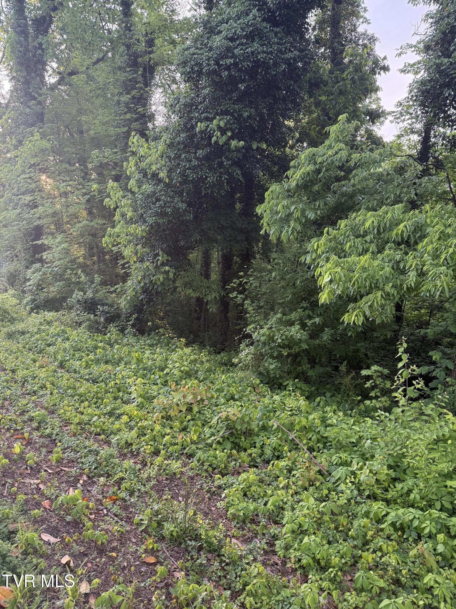 Lot 15 Ashley Street, Kingsport, Tennessee image 4
