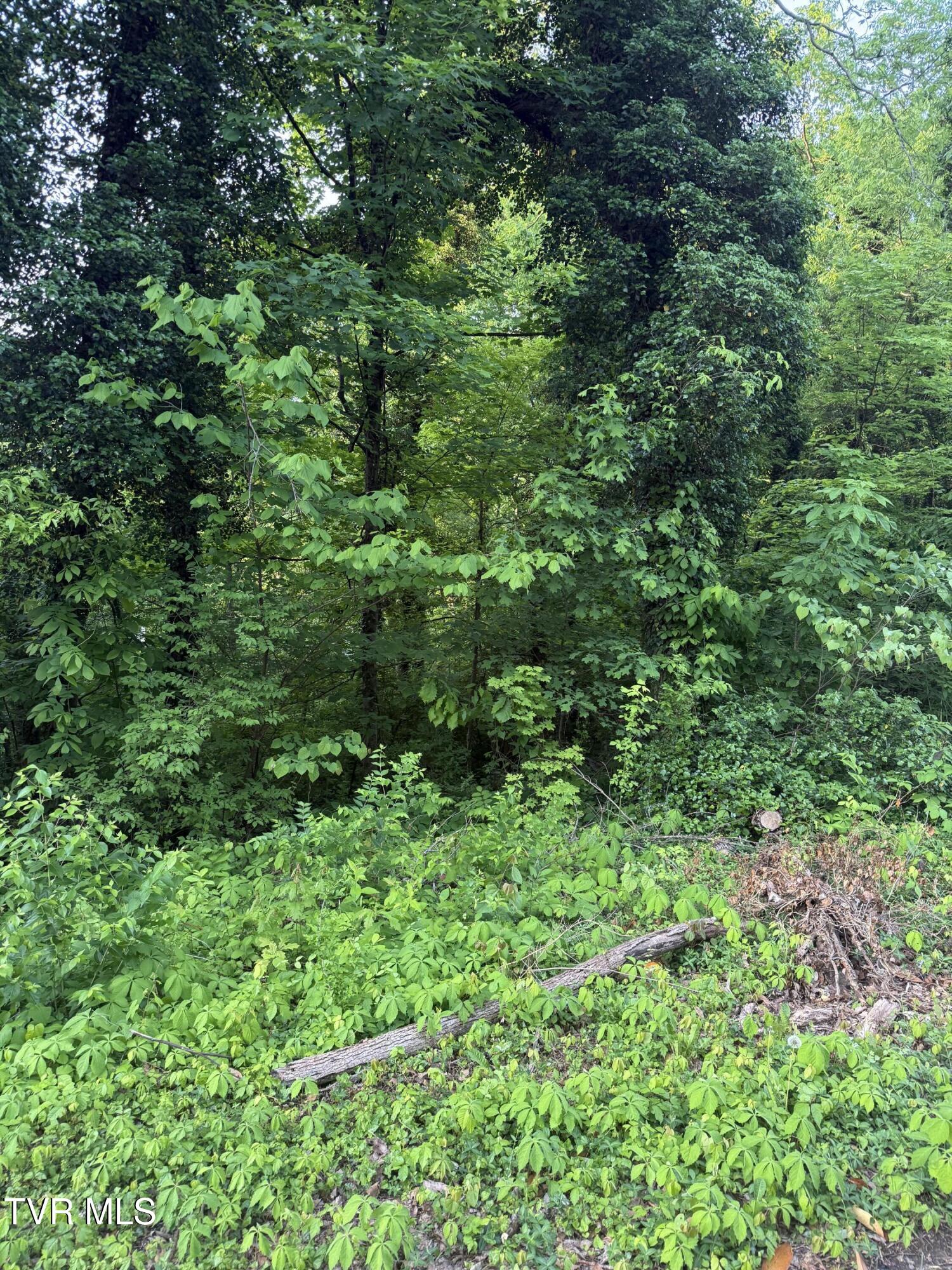 Lot 15 Ashley Street, Kingsport, Tennessee image 1