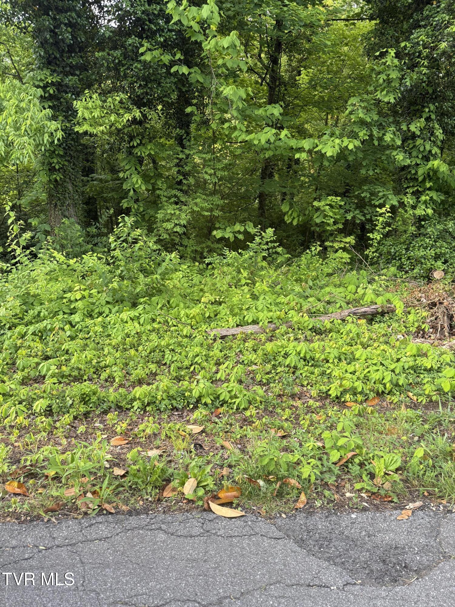 Lot 15 Ashley Street, Kingsport, Tennessee image 3
