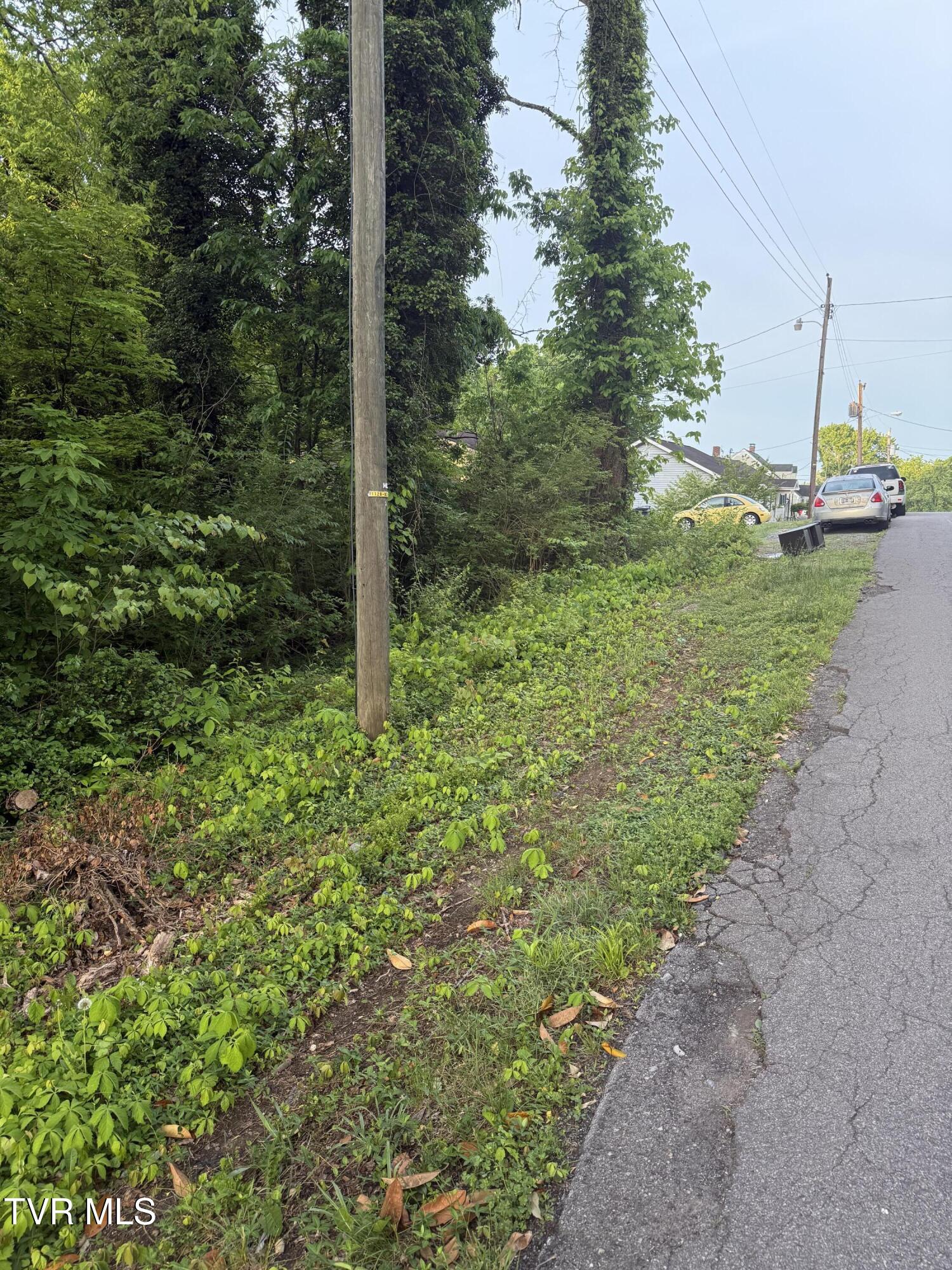 Lot 15 Ashley Street, Kingsport, Tennessee image 6