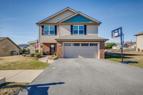 Photo of 2054 Meadow Creek Lane, Jonesborough, TN 37659 (MLS # 9990047)