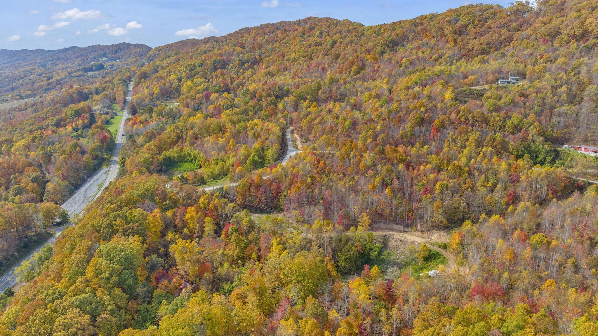 Tbd Paradise  Lot 14 Drive, Duffield, Virginia image 4