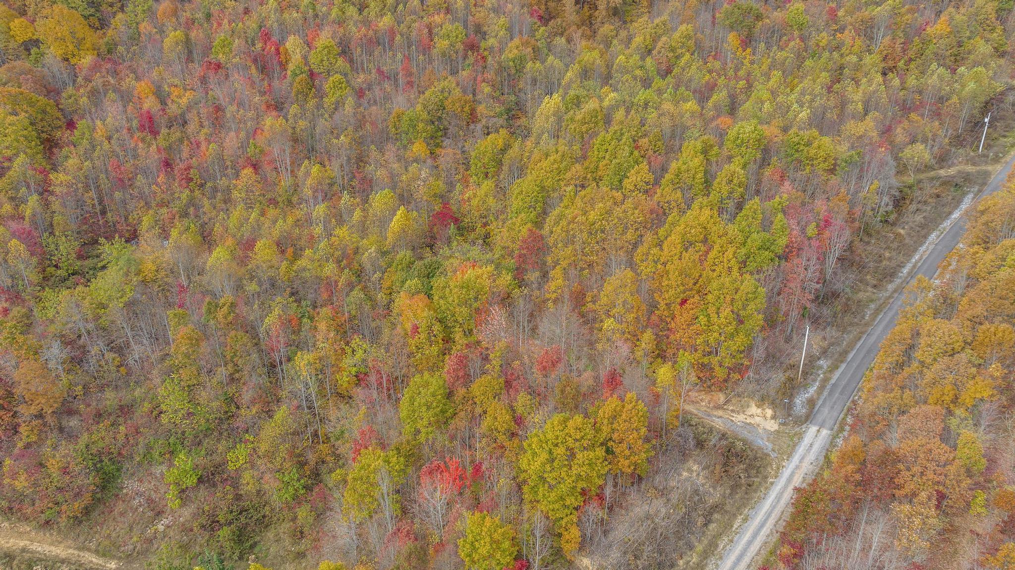Tbd Paradise  Lot 14 Drive, Duffield, Virginia image 2