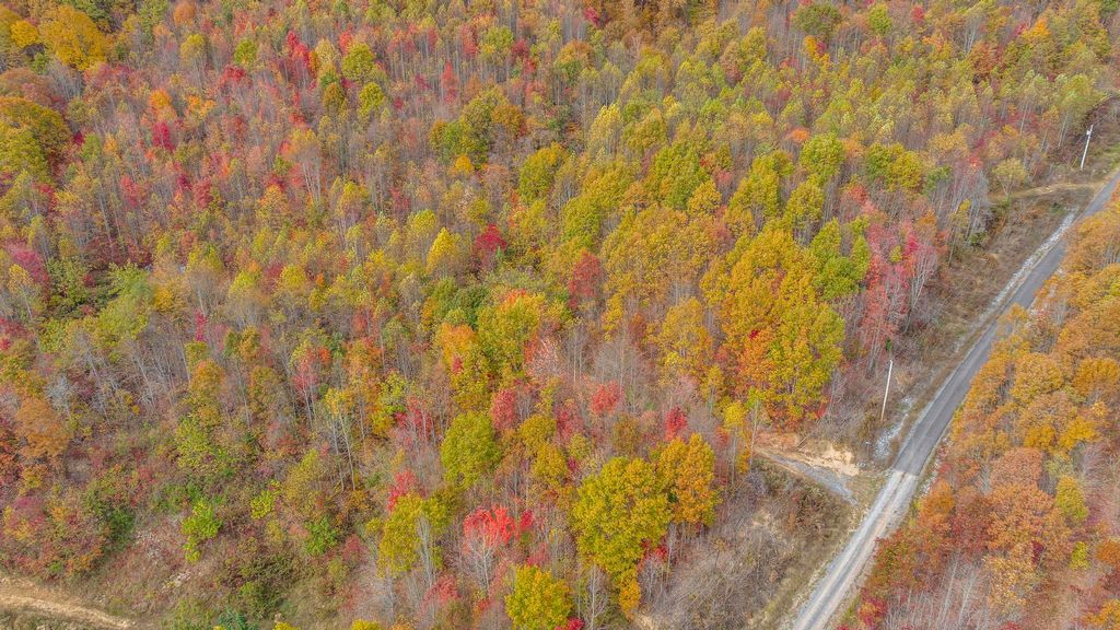 Photo of Tbd Paradise Lot 14 Drive, Duffield, VA 24244 (MLS # 9958690)