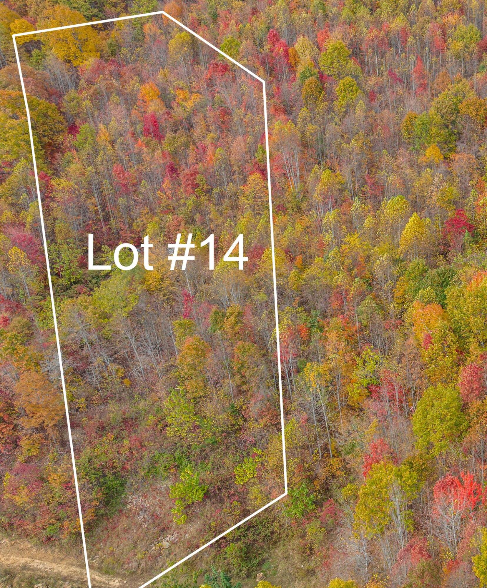Tbd Paradise  Lot 14 Drive, Duffield, Virginia image 1