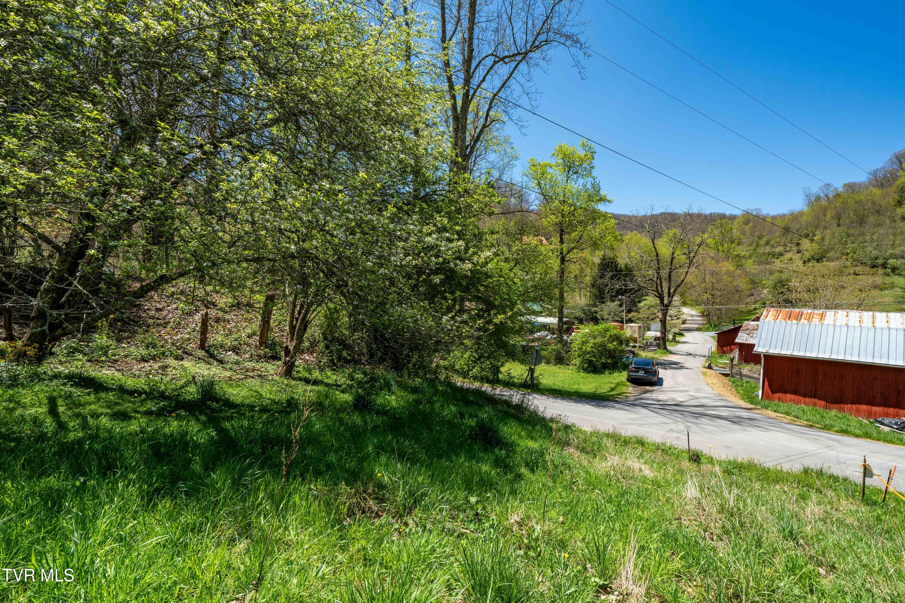 Tbd Hogum Hollow Road, Roan Mountain, Tennessee image 22