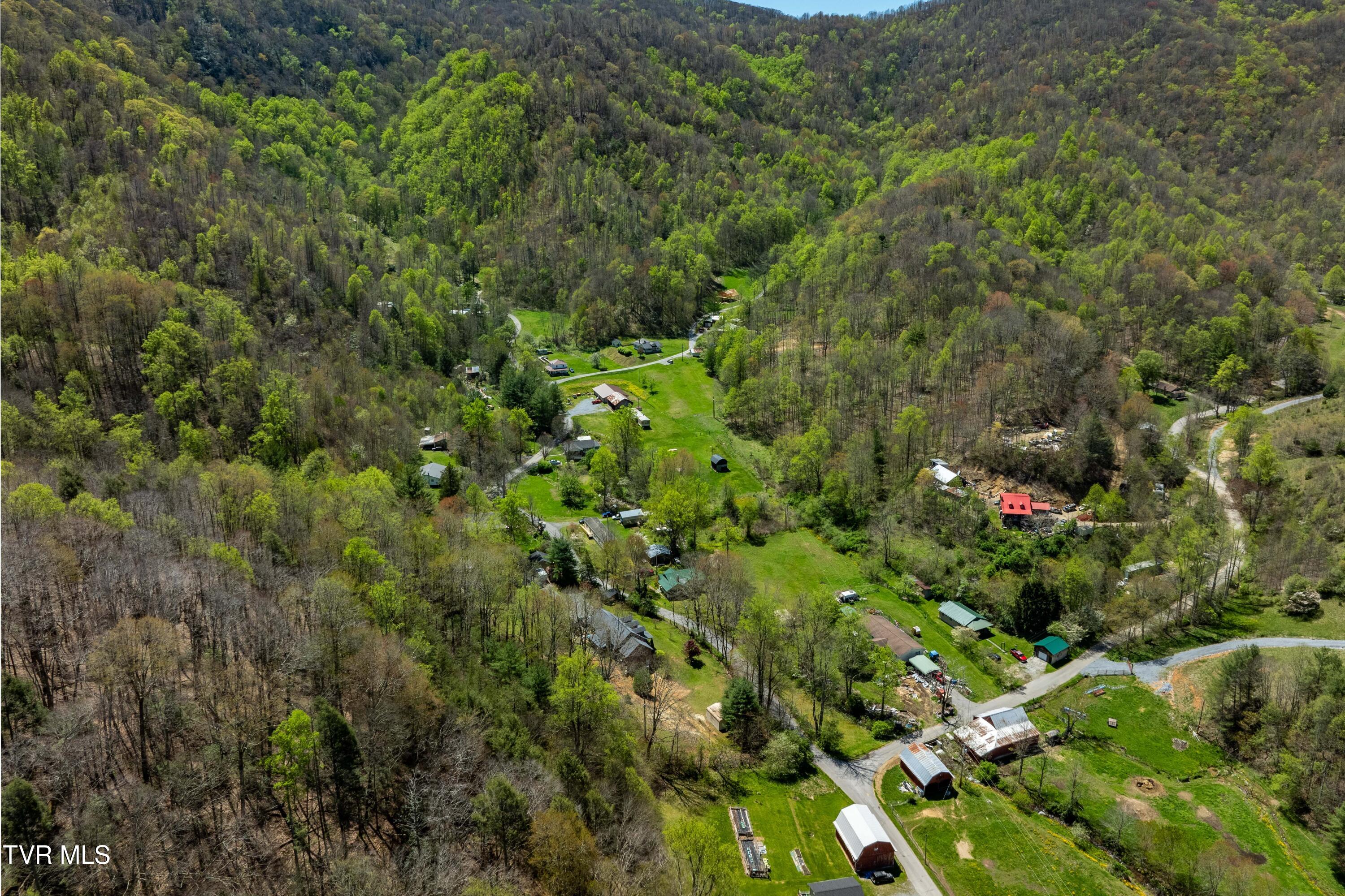 Tbd Hogum Hollow Road, Roan Mountain, Tennessee image 14