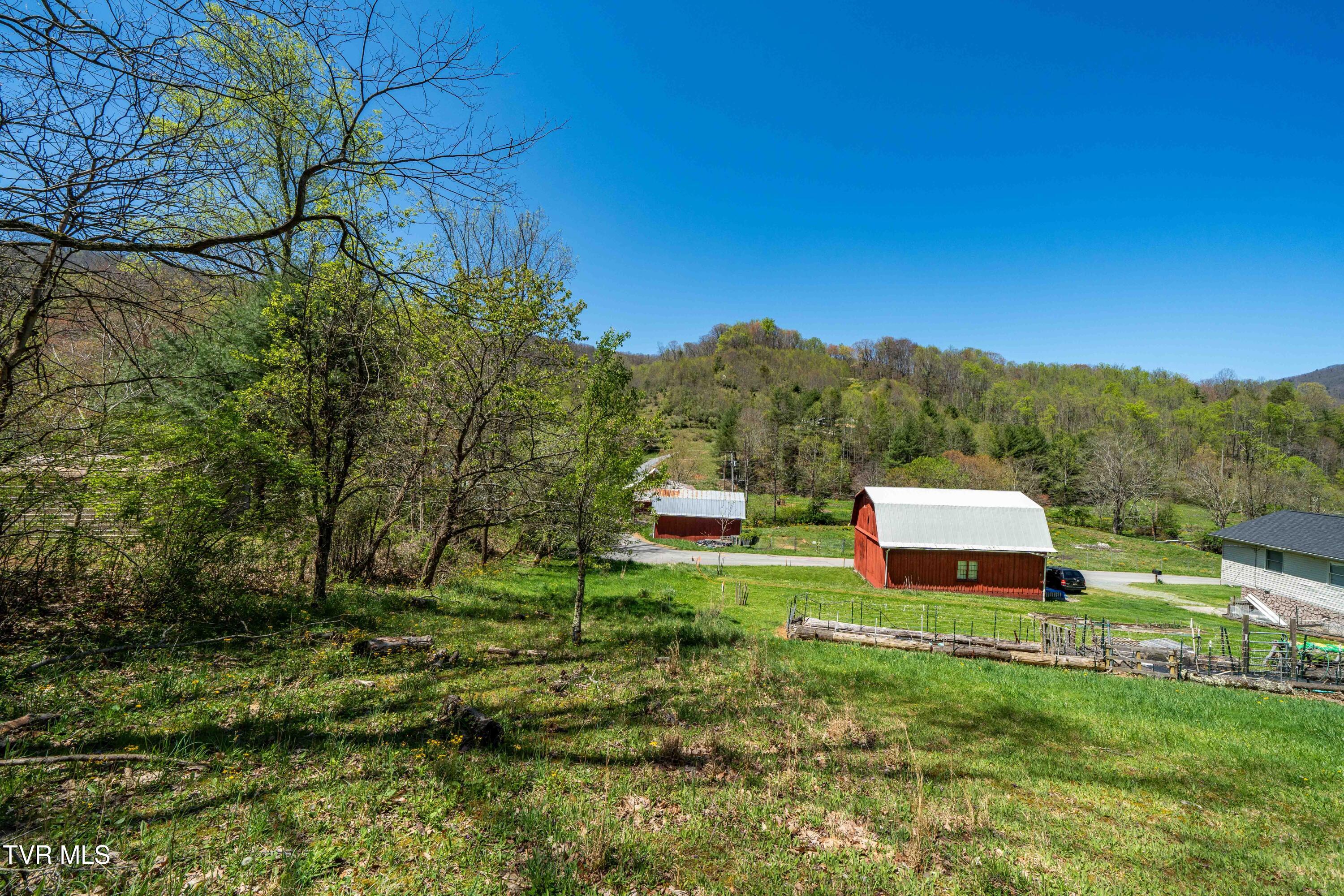 Tbd Hogum Hollow Road, Roan Mountain, Tennessee image 26