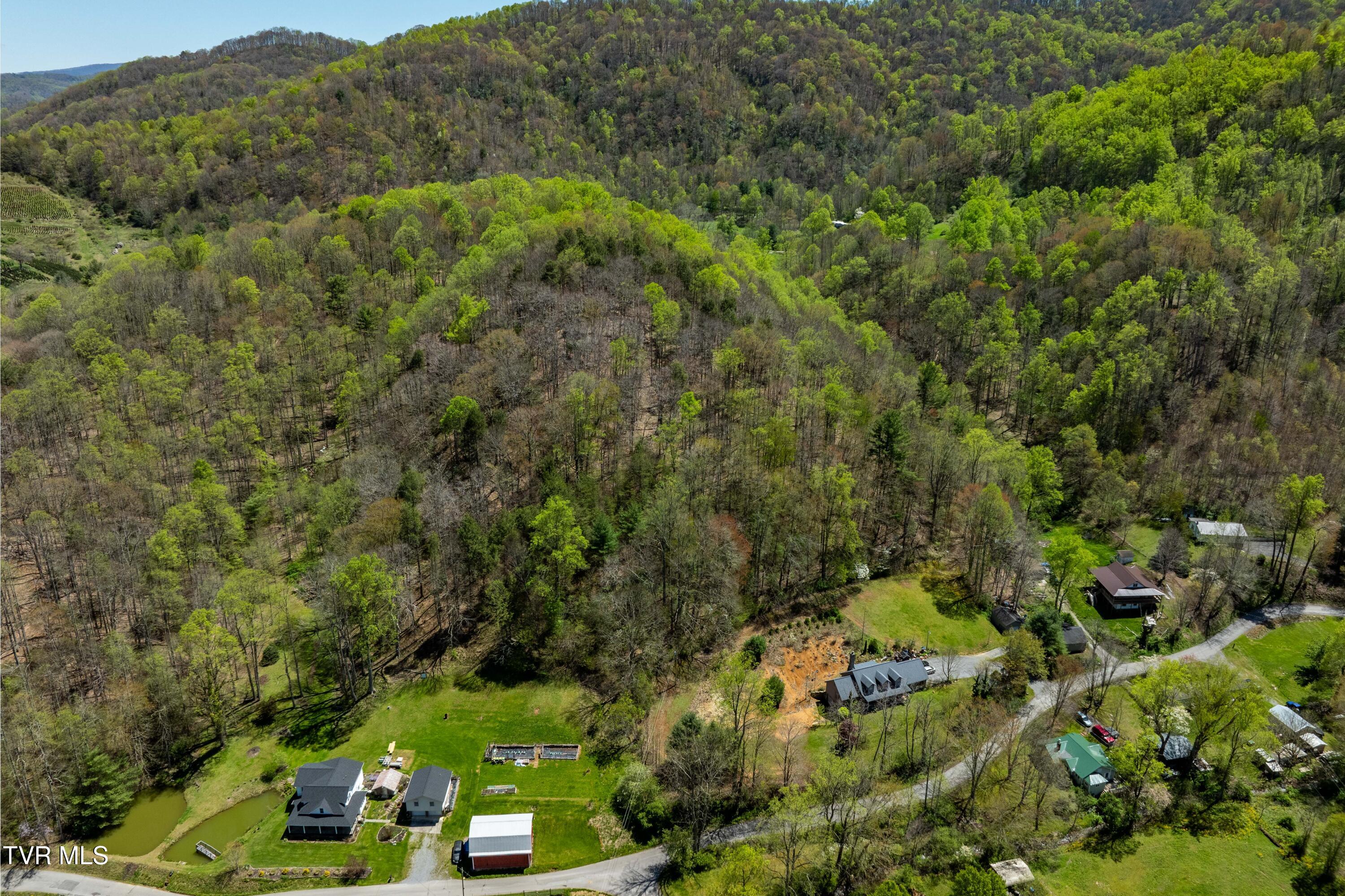 Tbd Hogum Hollow Road, Roan Mountain, Tennessee image 8