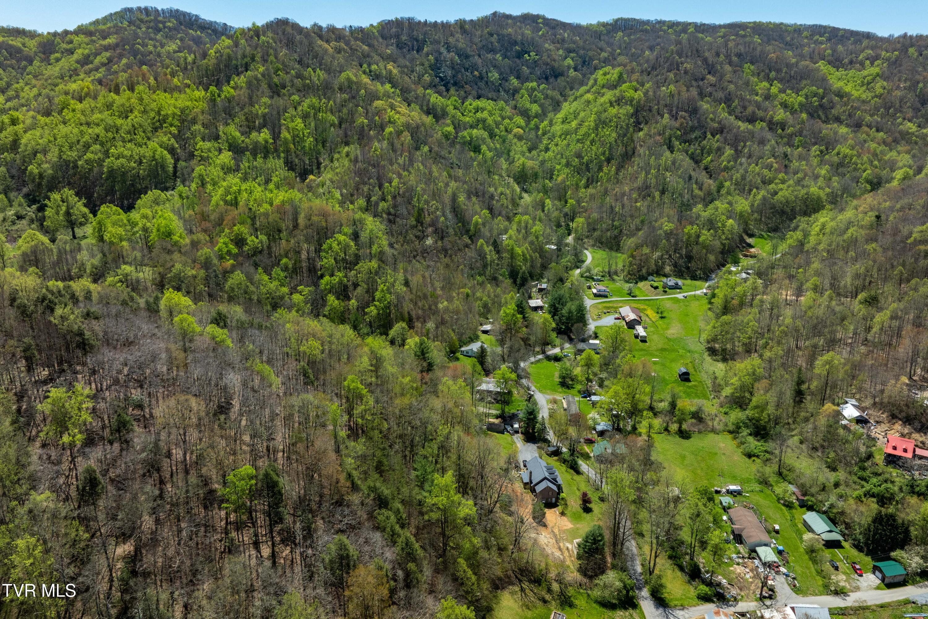 Tbd Hogum Hollow Road, Roan Mountain, Tennessee image 15