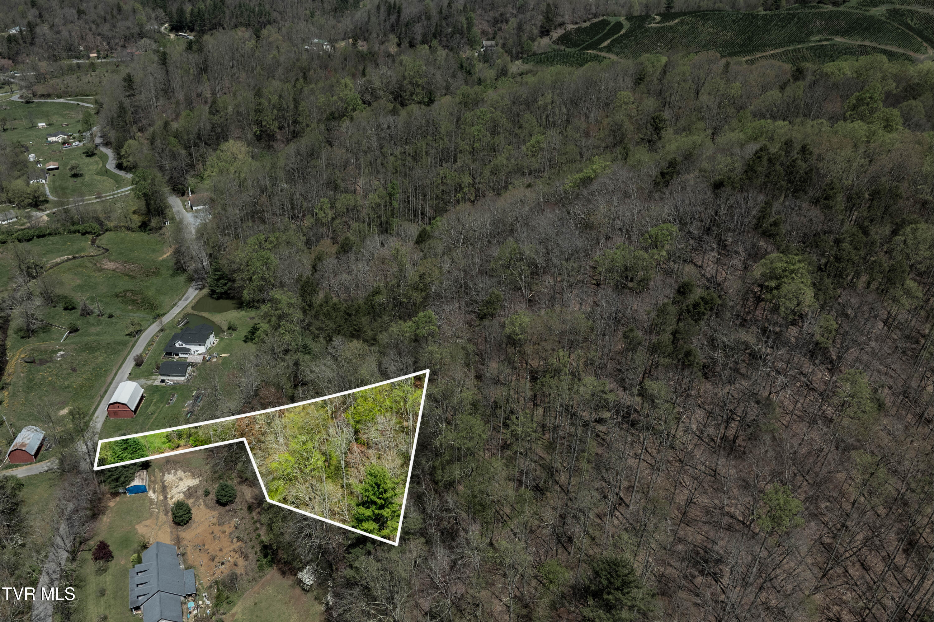 Tbd Hogum Hollow Road, Roan Mountain, Tennessee image 4