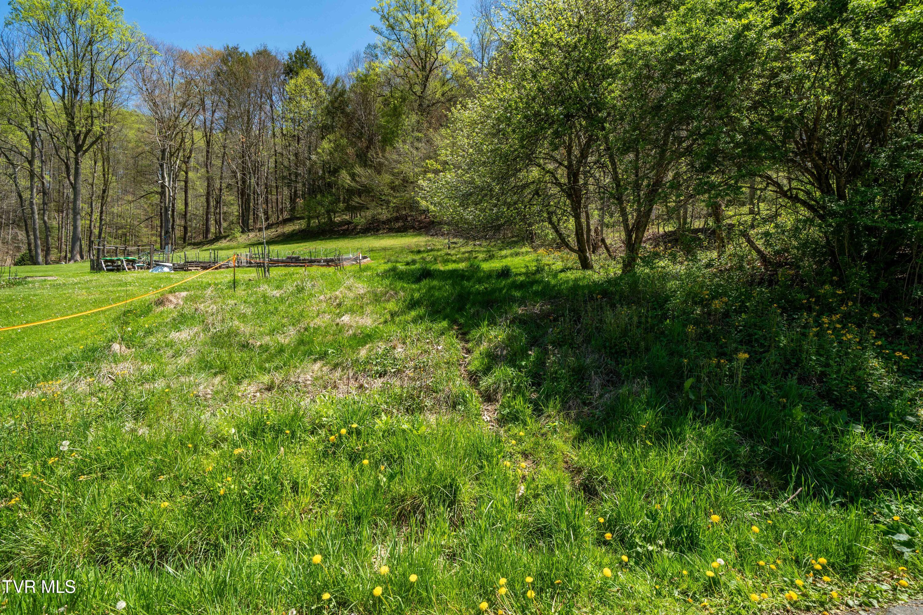 Tbd Hogum Hollow Road, Roan Mountain, Tennessee image 20