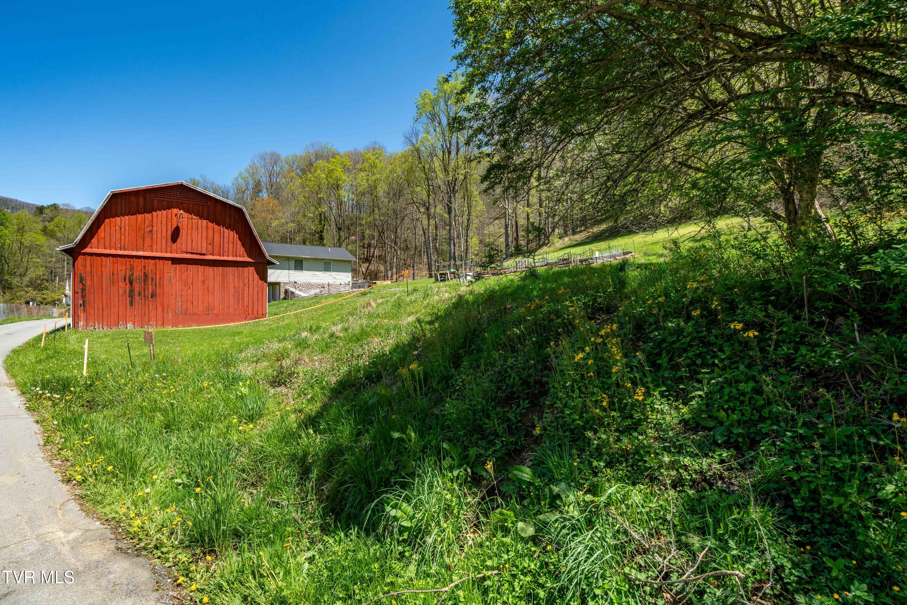 Tbd Hogum Hollow Road, Roan Mountain, Tennessee image 1