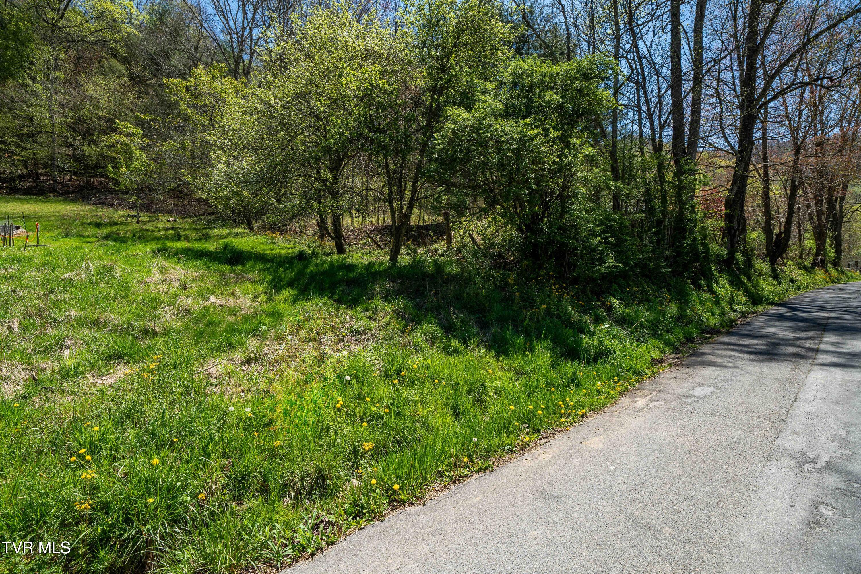 Tbd Hogum Hollow Road, Roan Mountain, Tennessee image 19