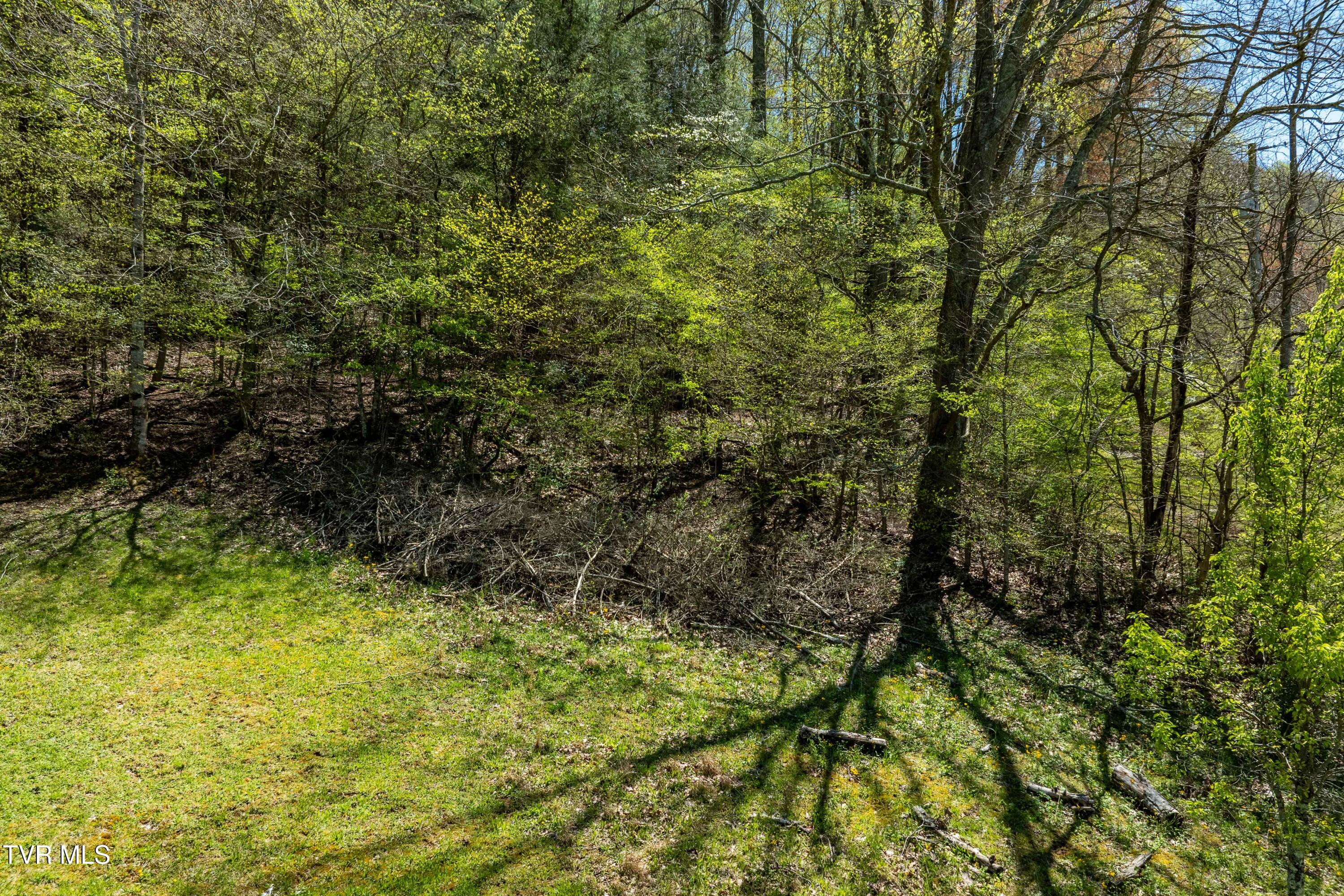 Tbd Hogum Hollow Road, Roan Mountain, Tennessee image 17