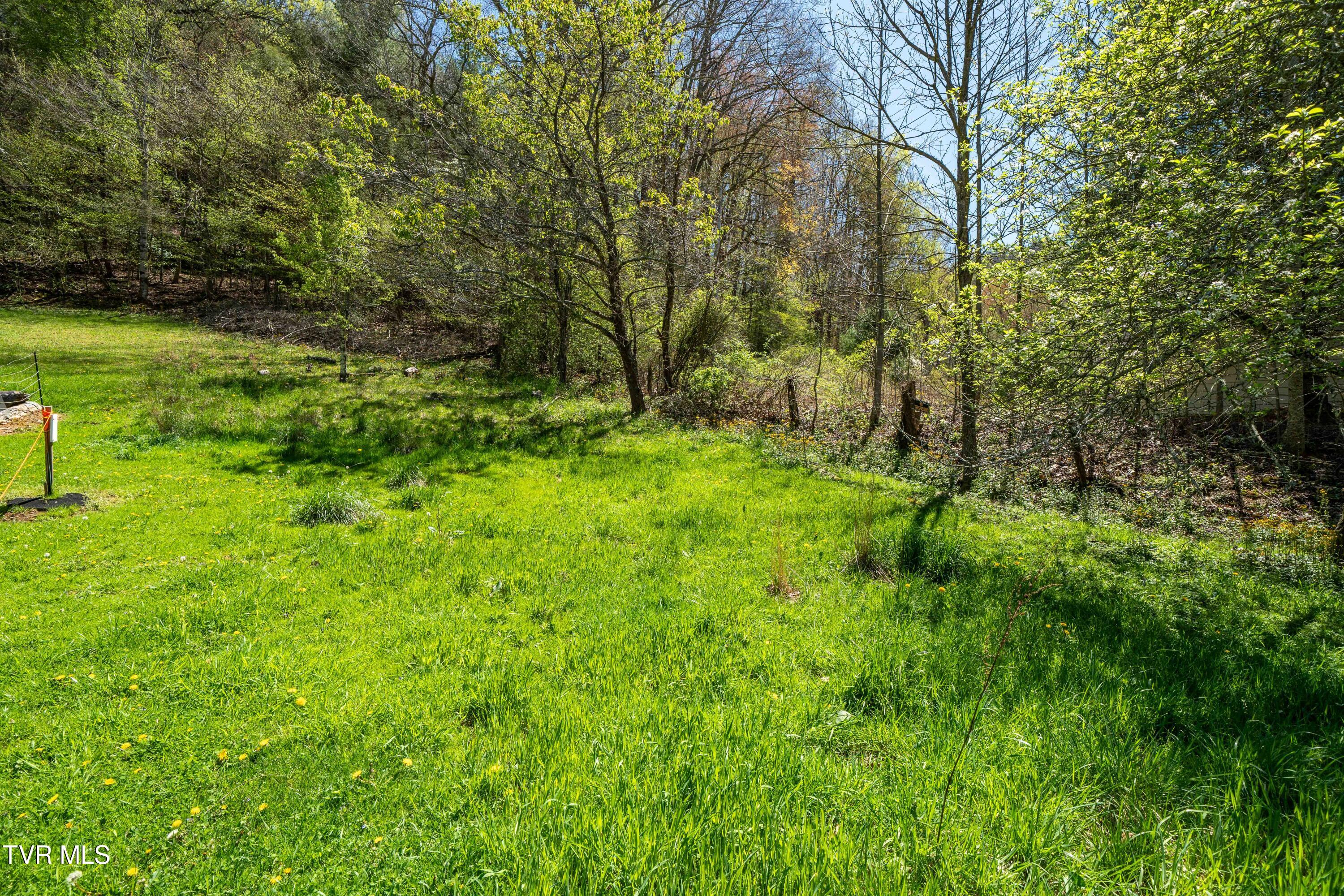 Tbd Hogum Hollow Road, Roan Mountain, Tennessee image 21
