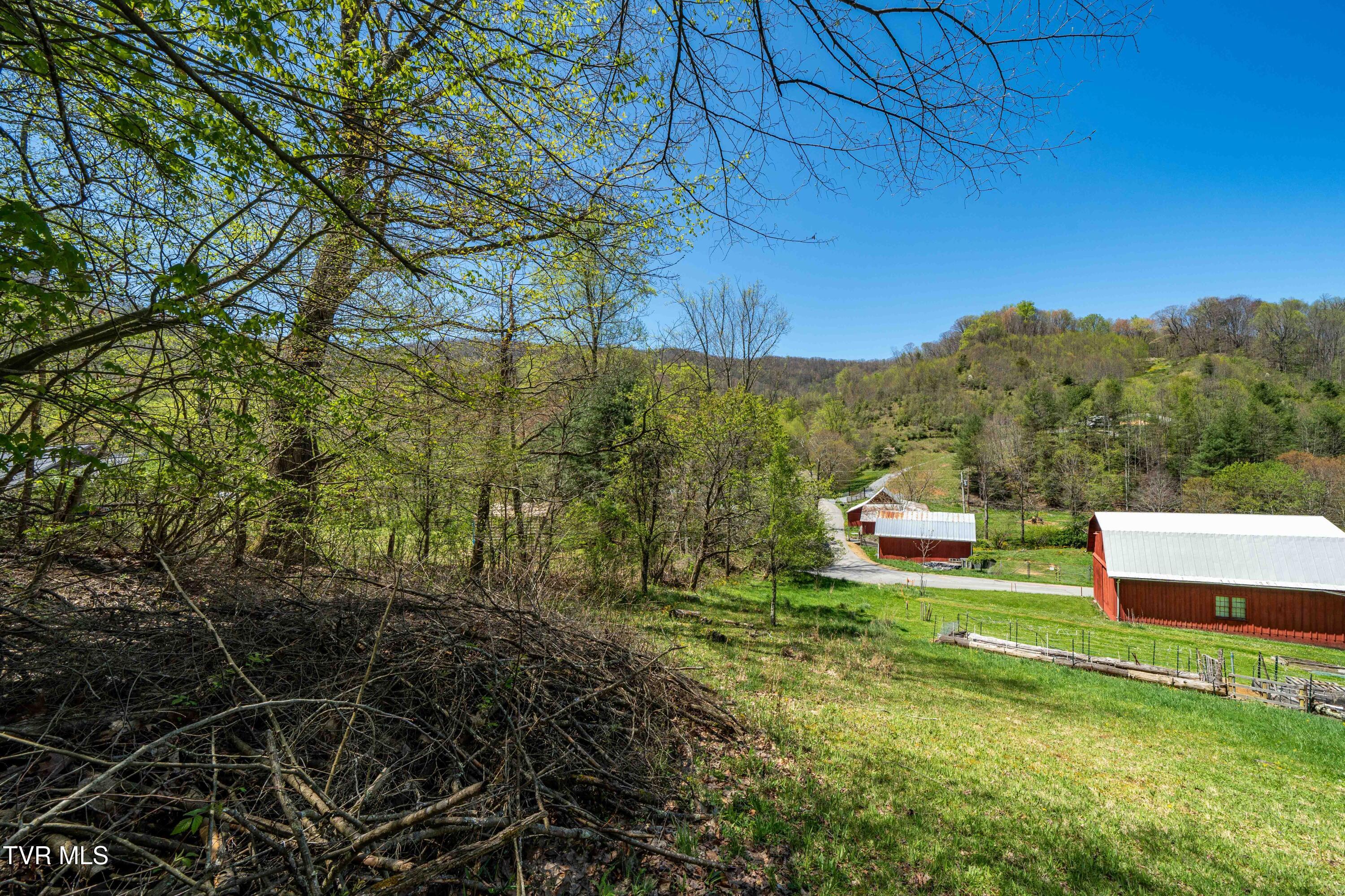 Tbd Hogum Hollow Road, Roan Mountain, Tennessee image 25