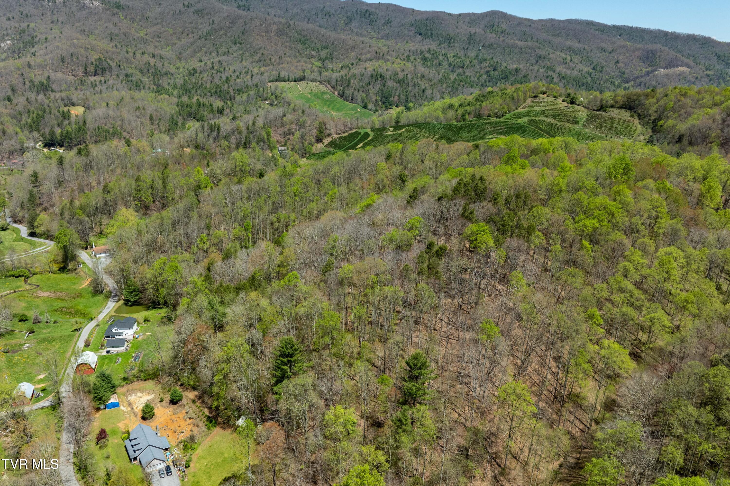 Tbd Hogum Hollow Road, Roan Mountain, Tennessee image 12