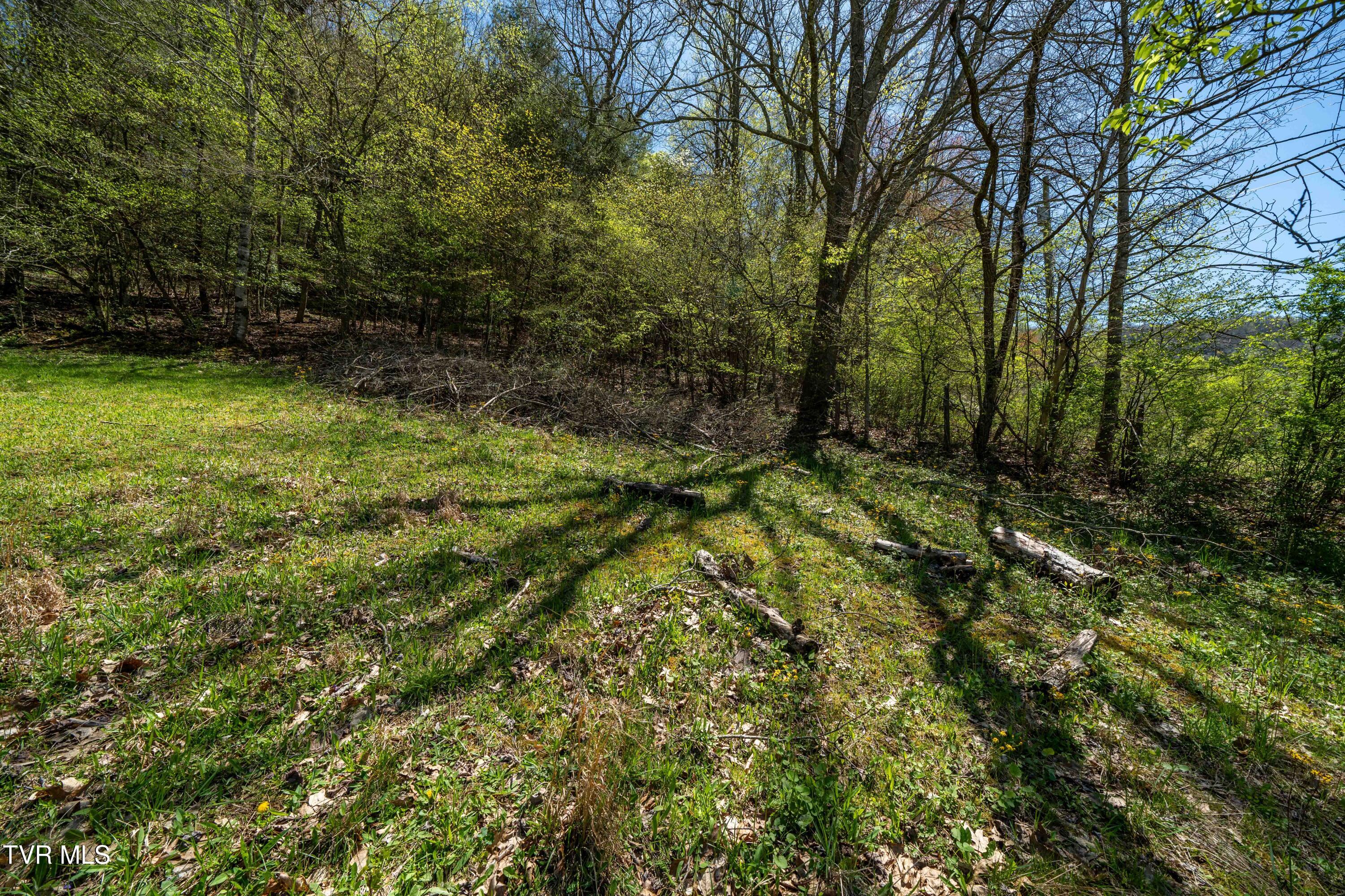 Tbd Hogum Hollow Road, Roan Mountain, Tennessee image 23